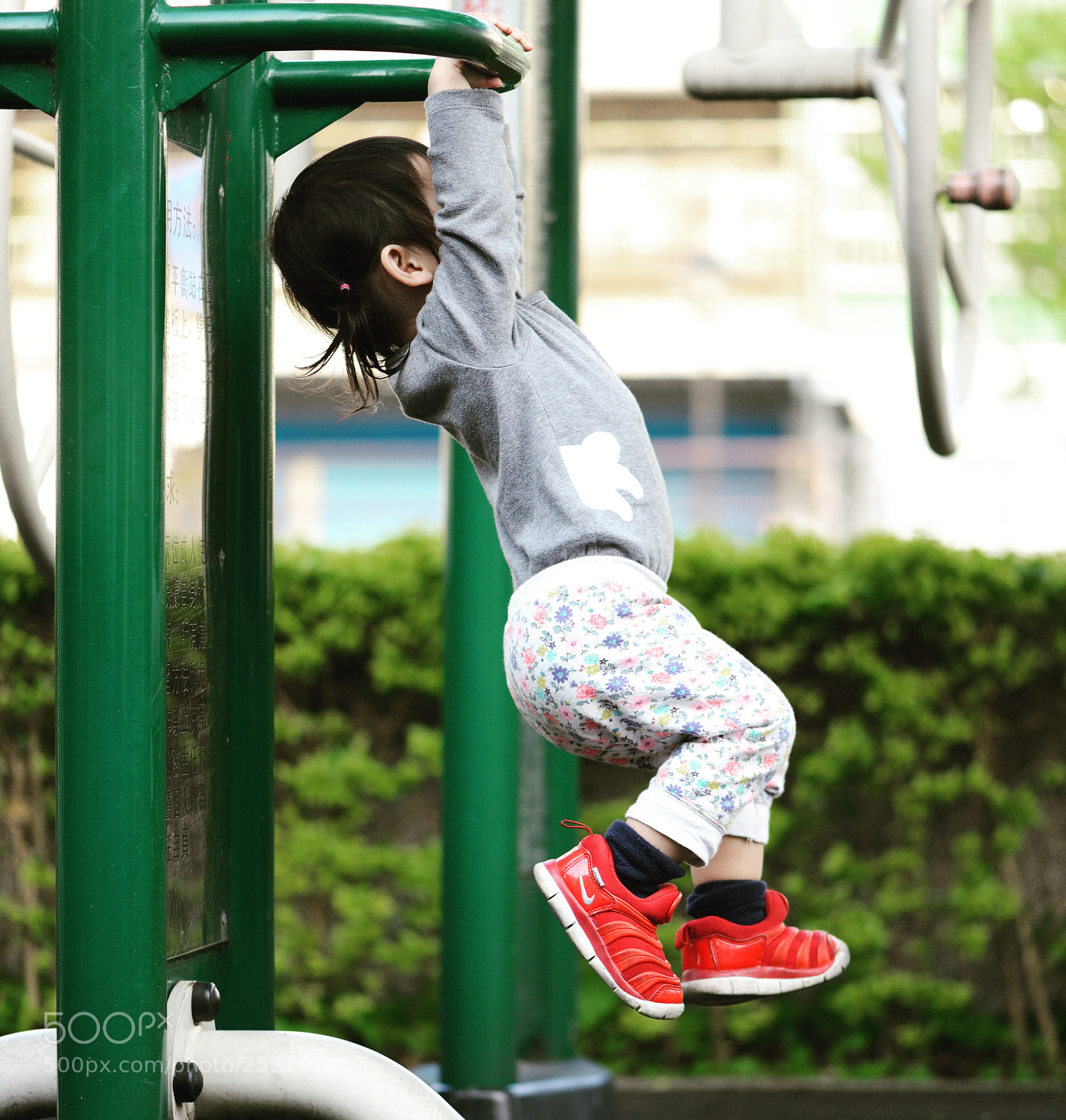 Nikon D800 sample photo. Untitled photography