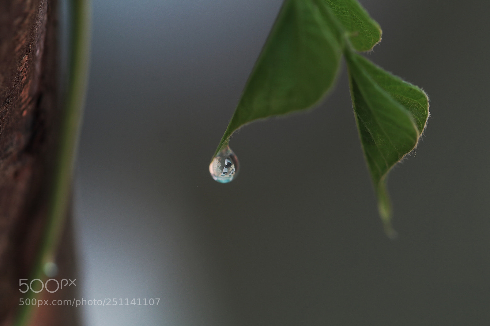 Canon EOS 80D sample photo. Upside down photography