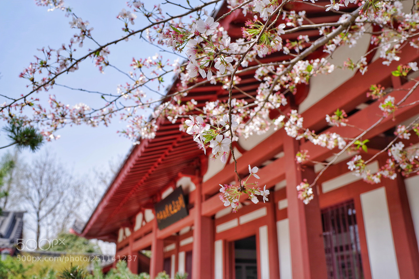 Pentax K-1 sample photo. Untitled photography