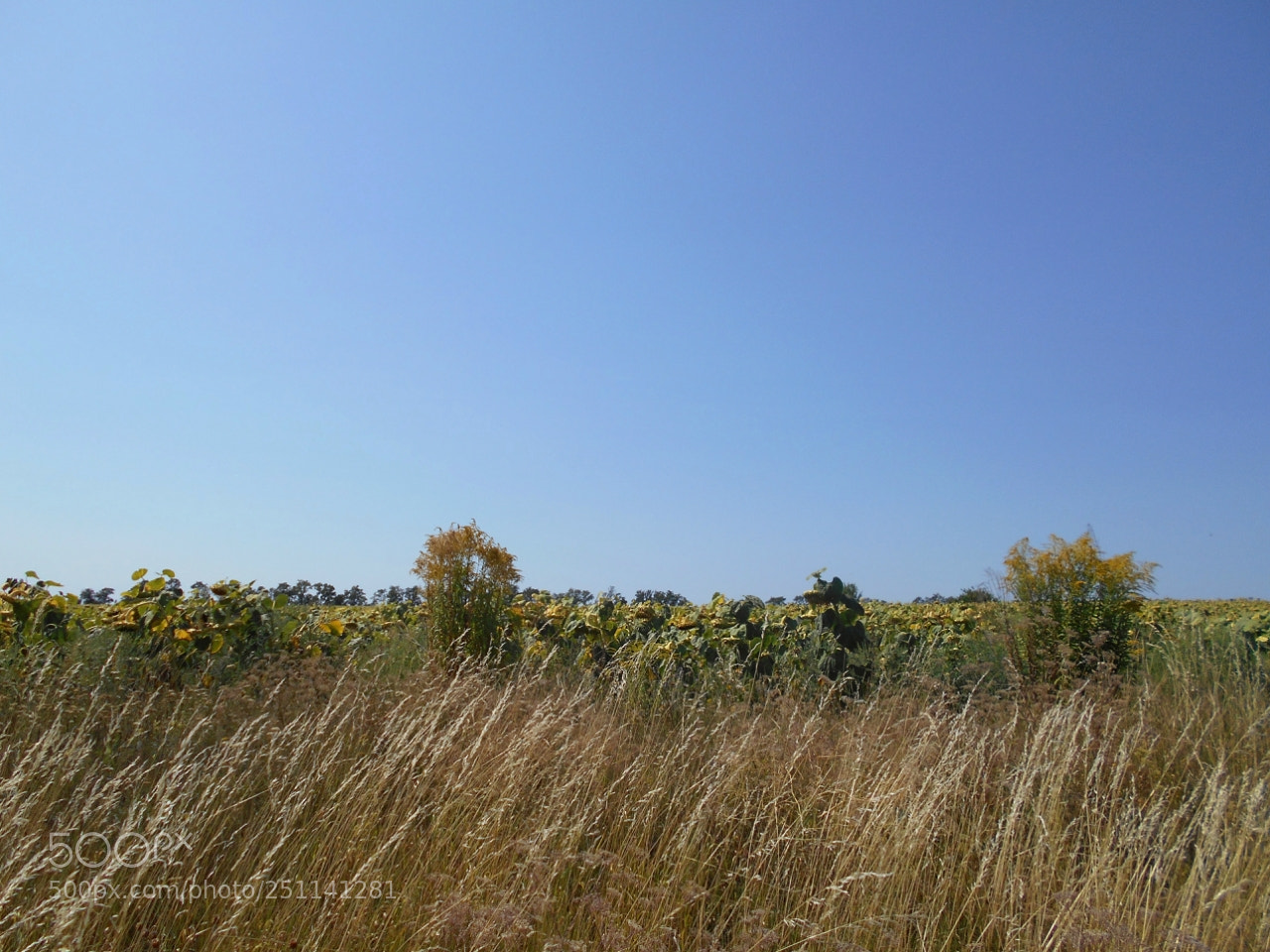 Nikon Coolpix A100 sample photo. Badfe orig photography