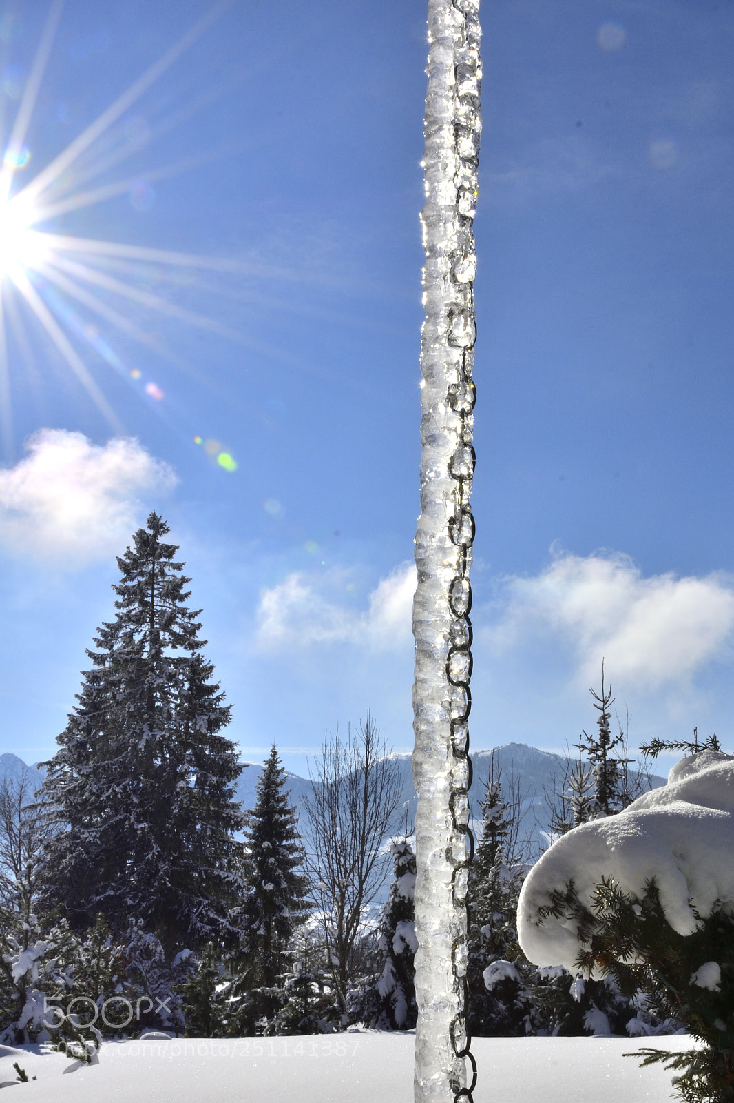 Nikon D7100 sample photo. Sunny winterday photography