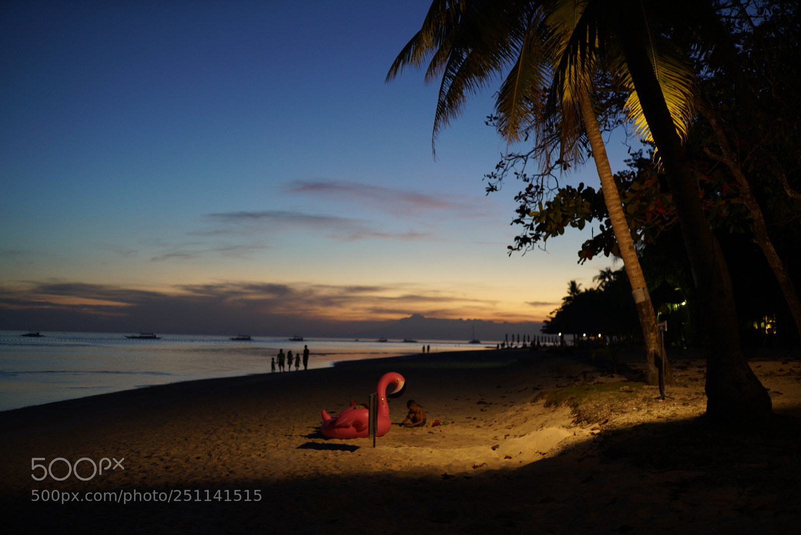 Sony a7R II sample photo. Untitled photography