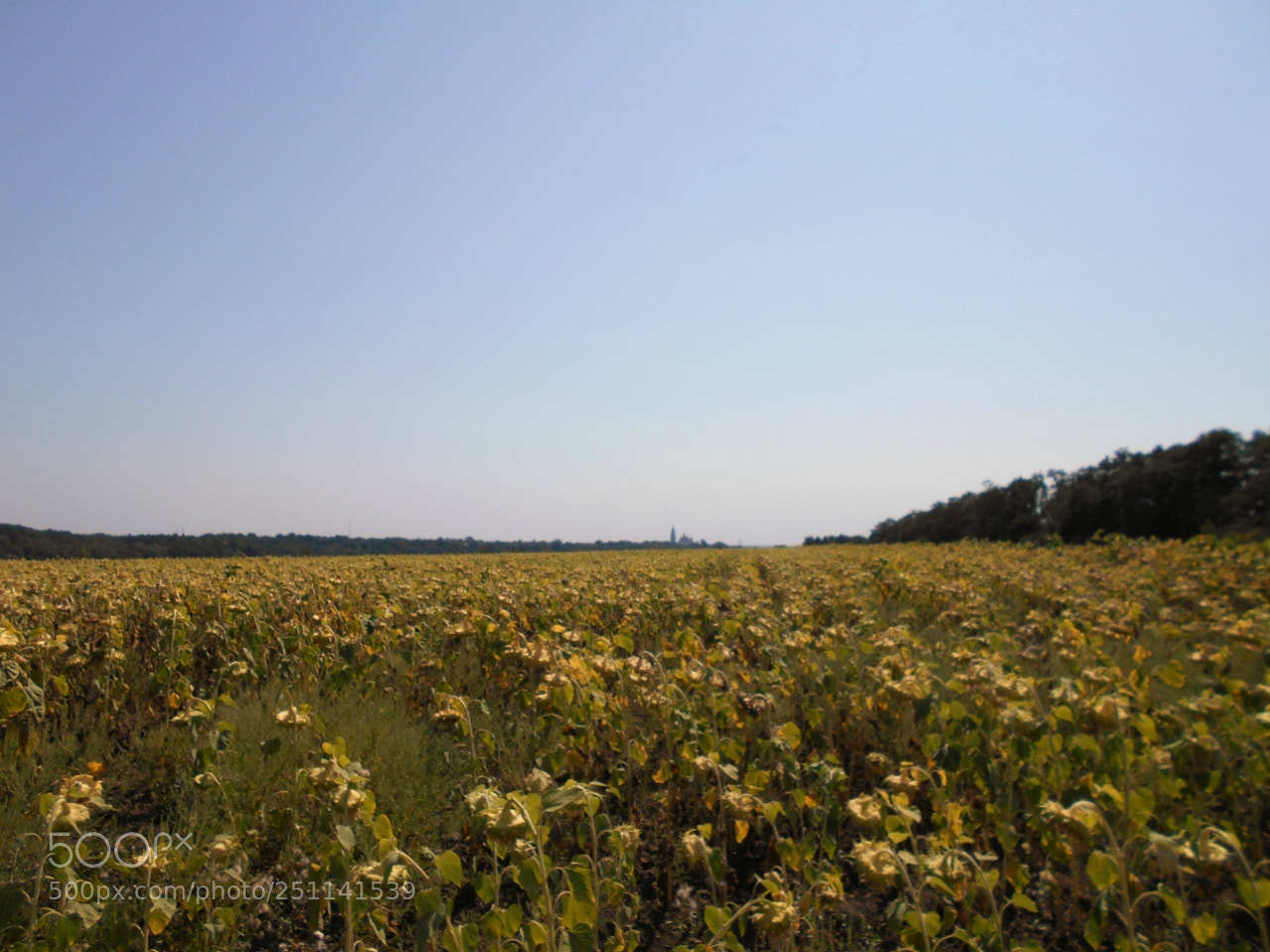 Nikon Coolpix A100 sample photo. Bcdd orig photography
