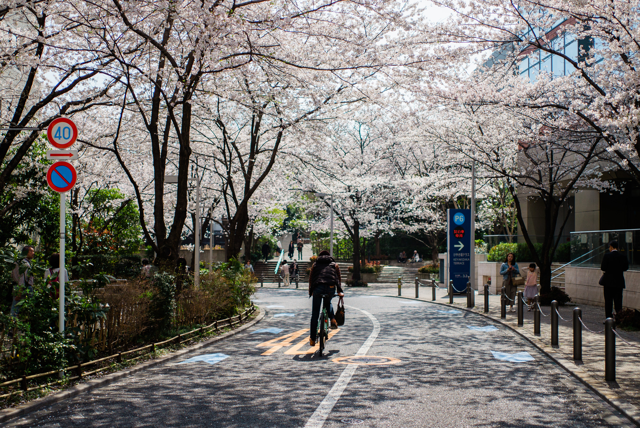 Leica M-D (TYP 262) sample photo. L photography