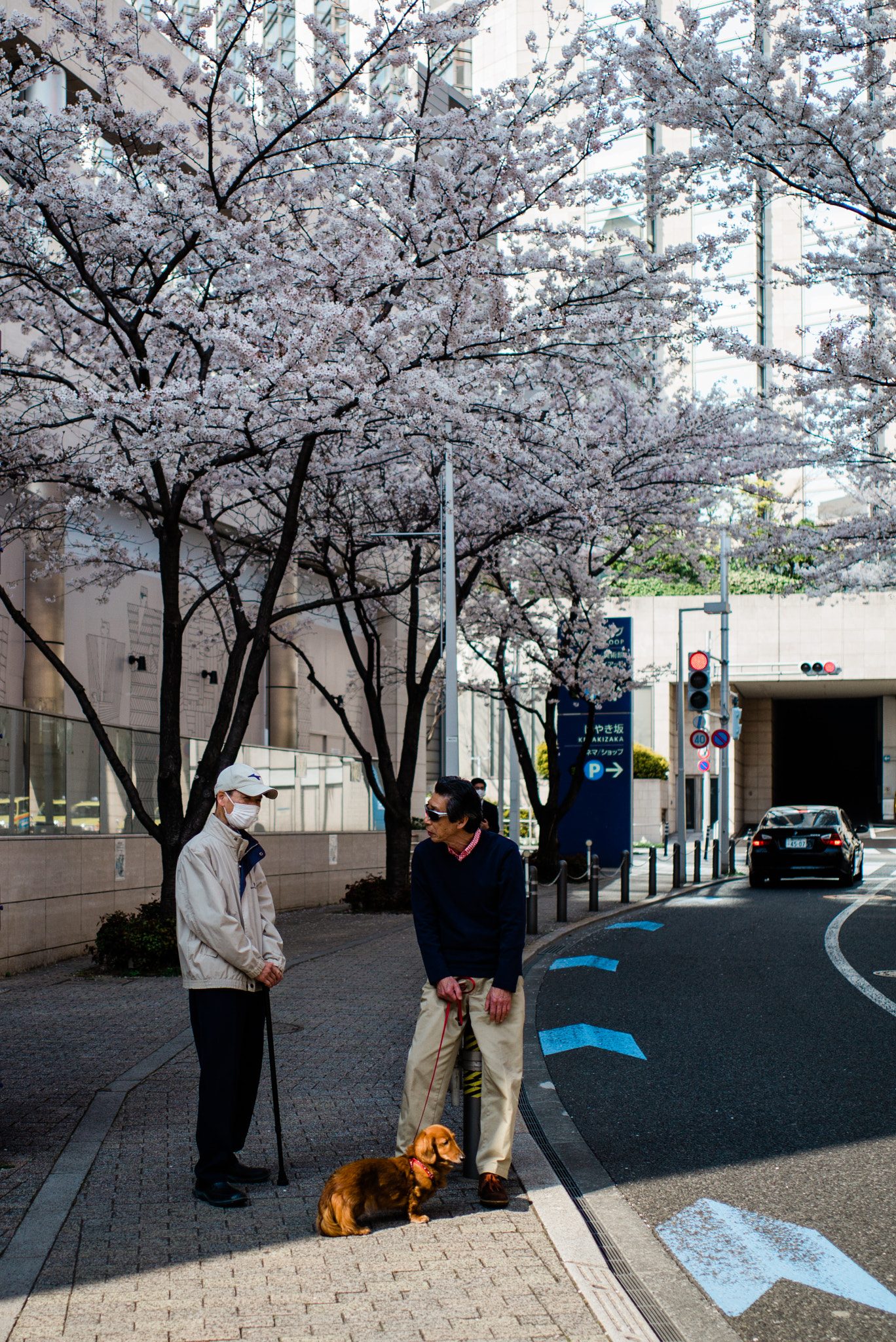 Leica M-D (TYP 262) sample photo. L photography