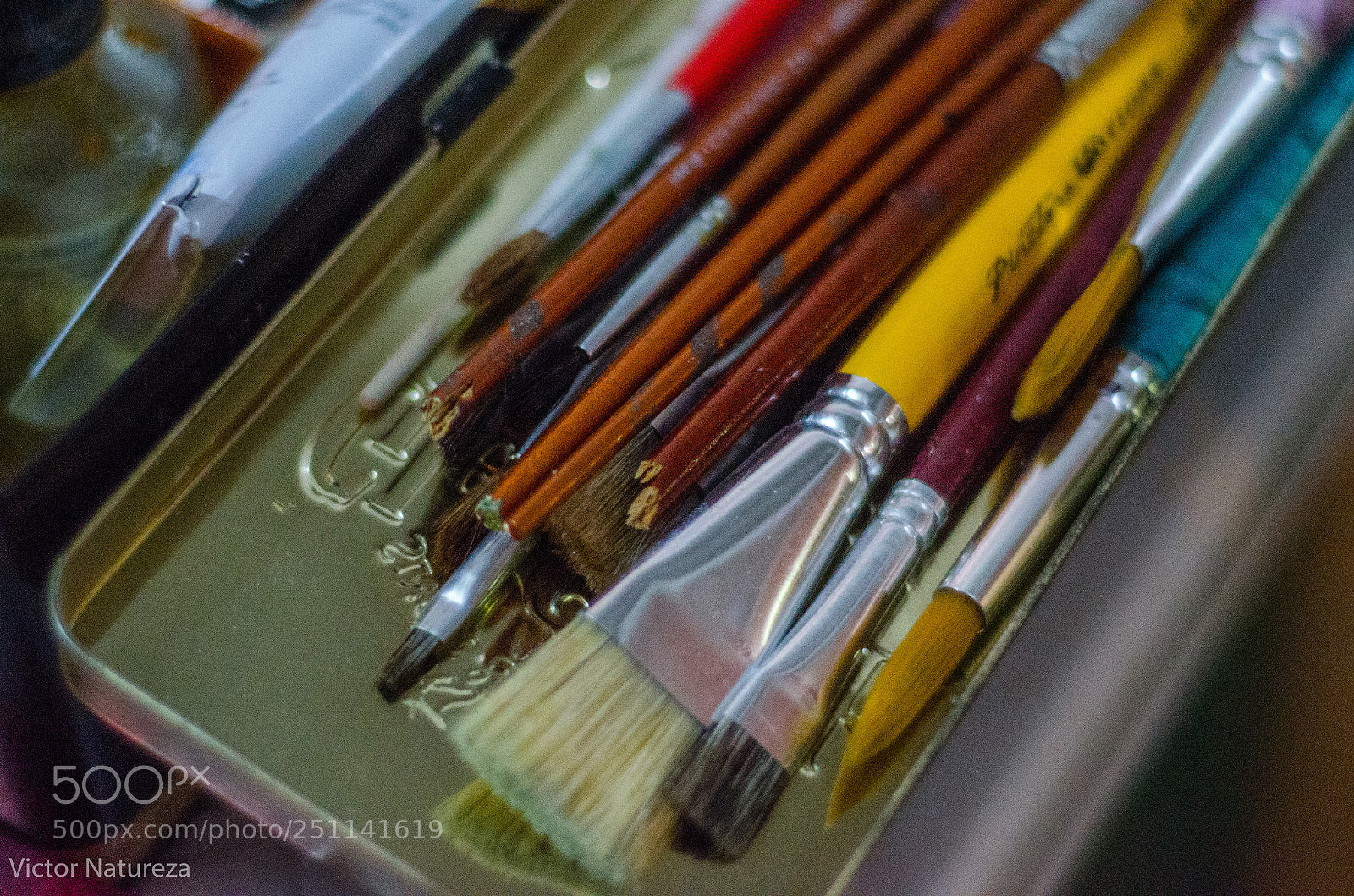 Nikon D7000 sample photo. Untitled photography