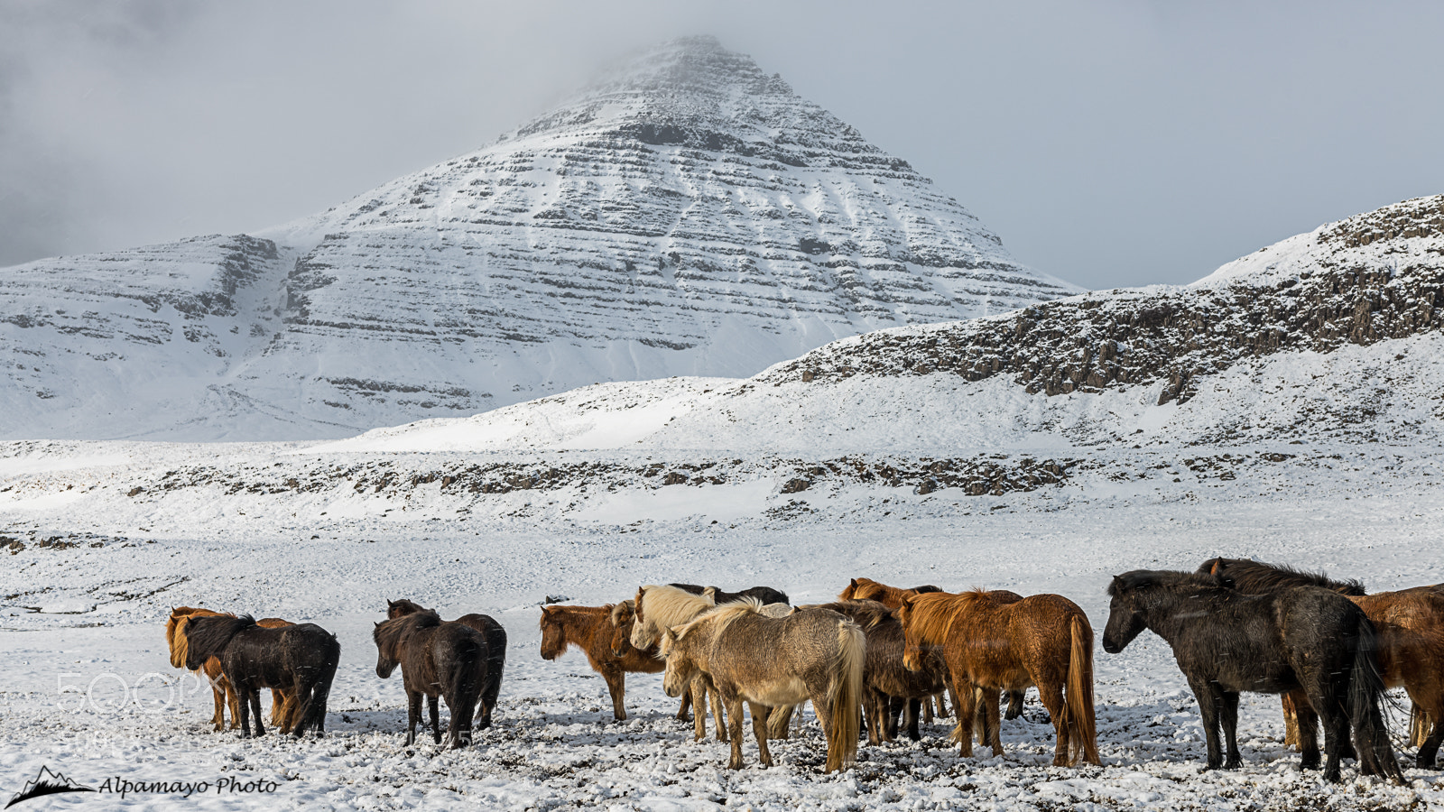 Nikon D850 sample photo. Winter in iceland photography