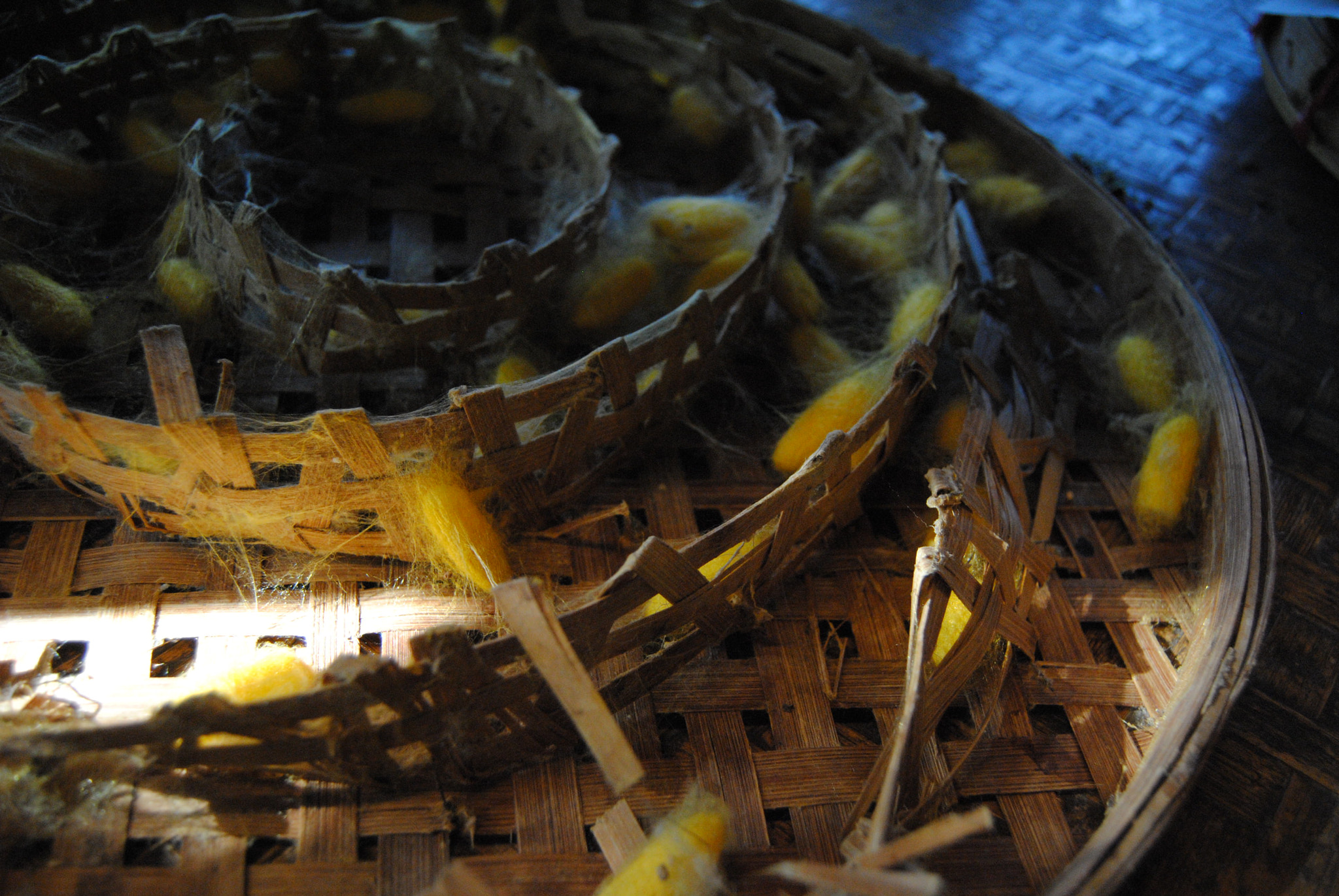 Nikon D3000 sample photo. 110.jpg photography