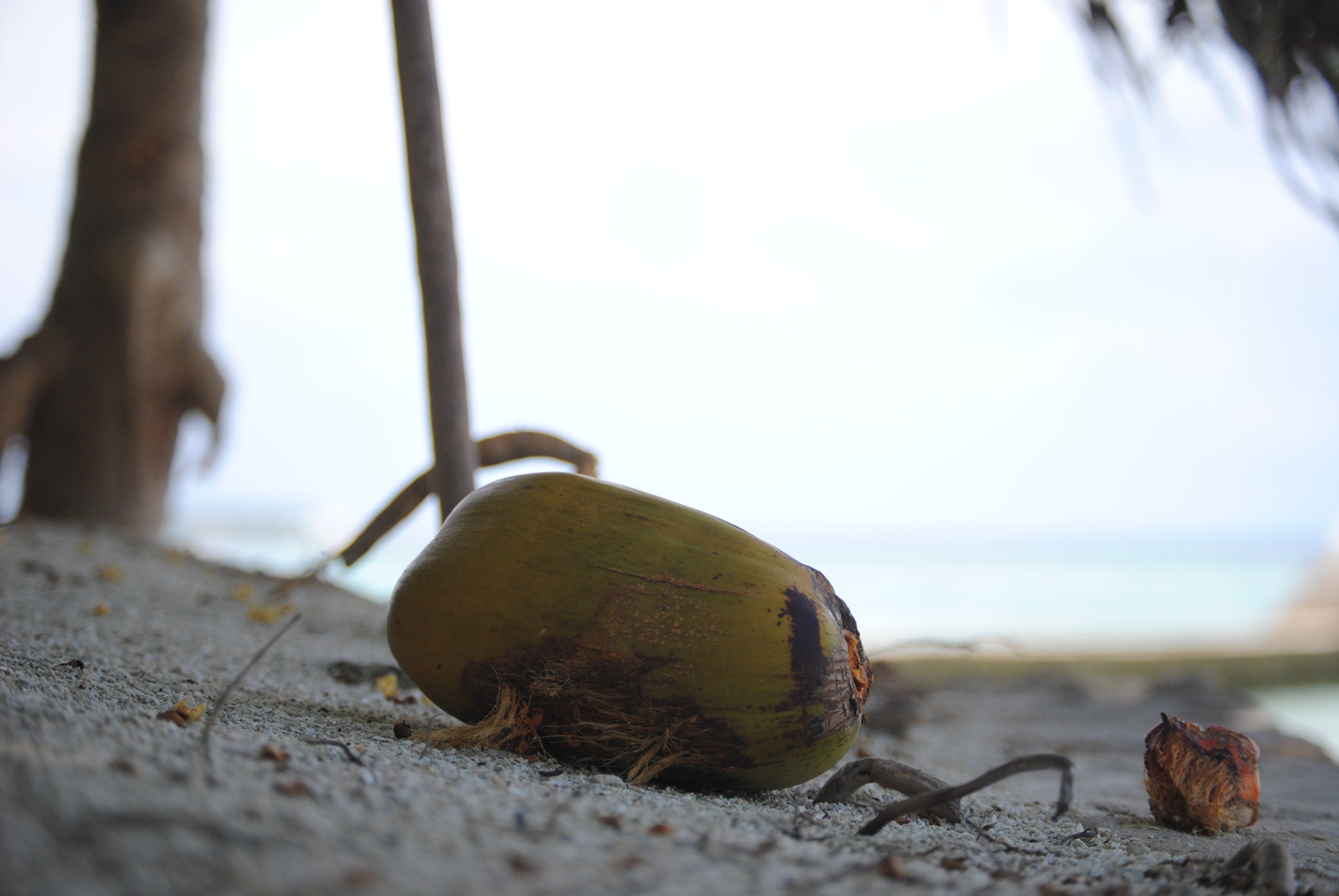 Nikon D3000 sample photo. 128.jpg photography