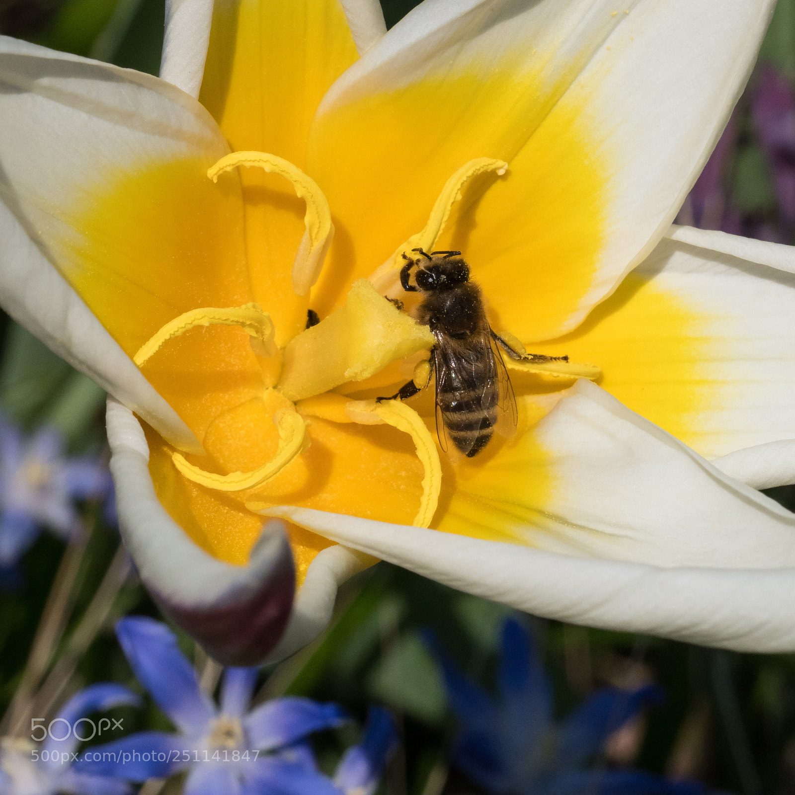 Olympus OM-D E-M1 Mark II sample photo. Balancing act photography