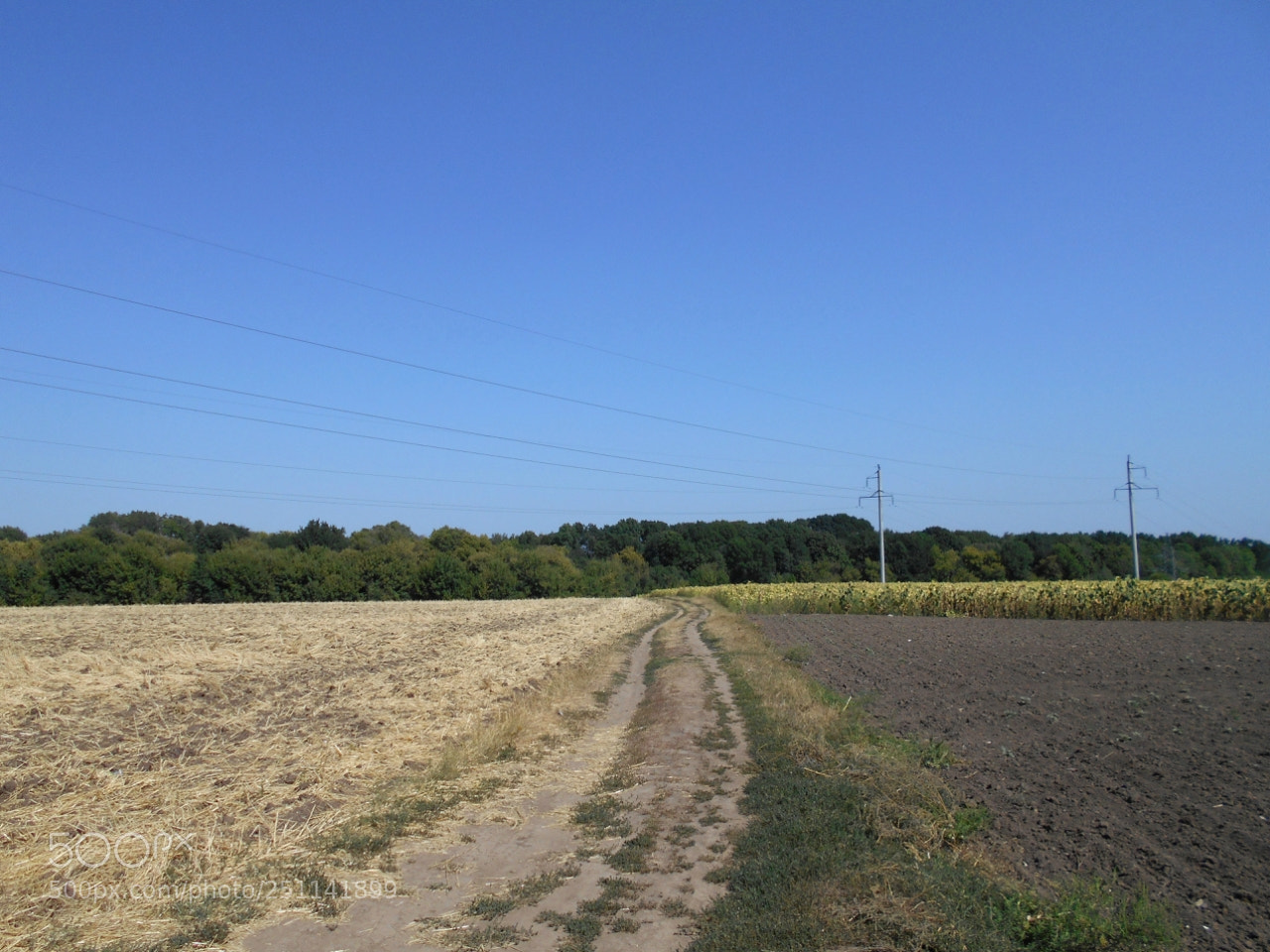 Nikon Coolpix A100 sample photo. Cafab orig photography