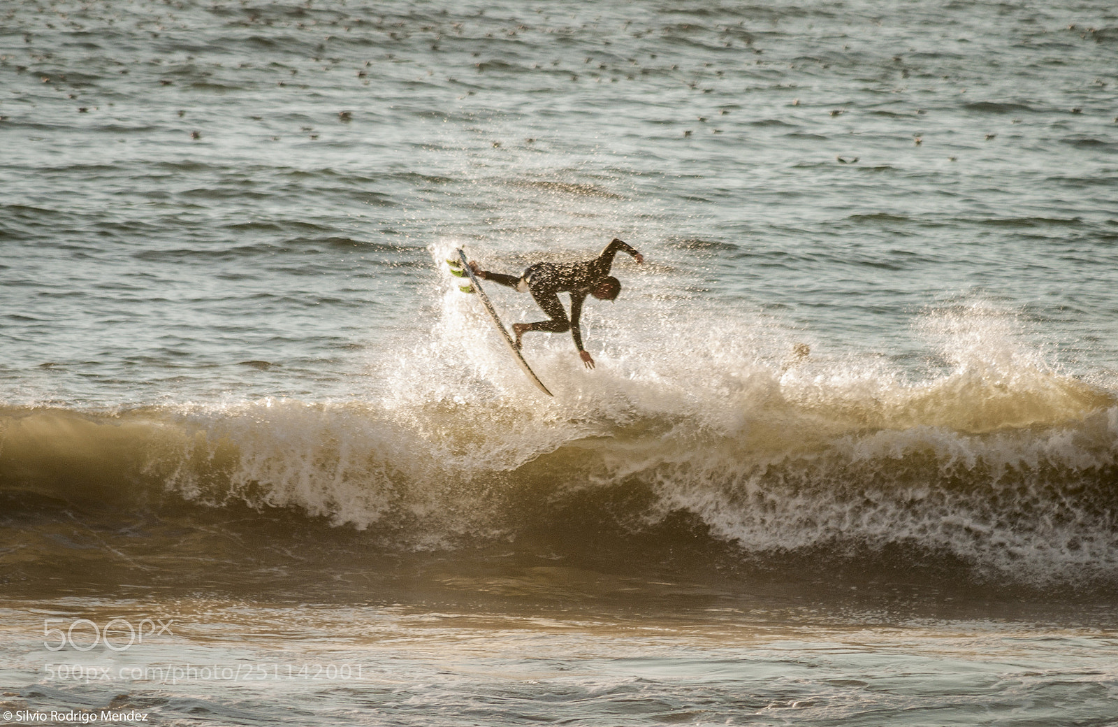 Nikon D5000 sample photo. Christian ibarra - backside 360 photography