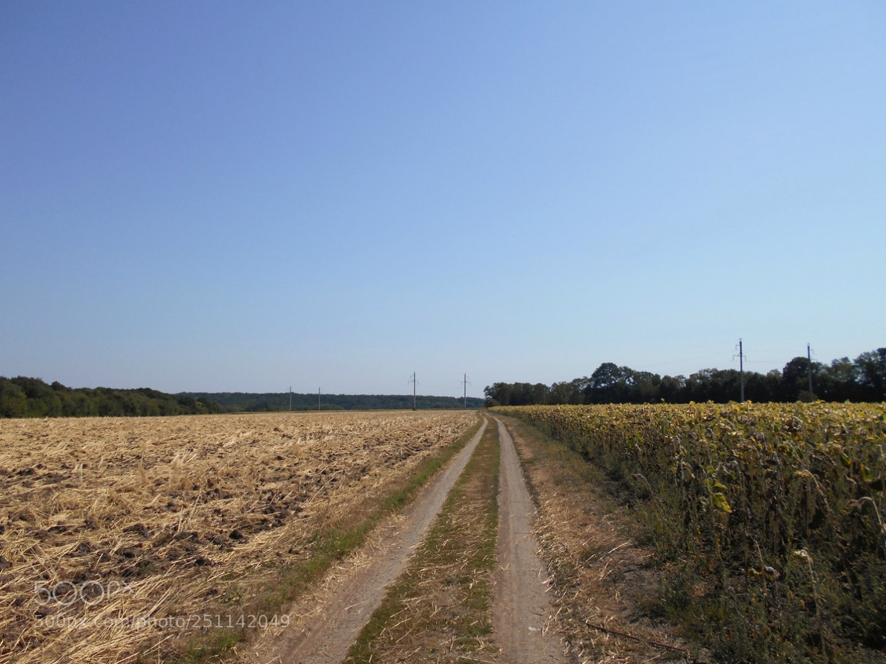 Nikon Coolpix A100 sample photo. Eorig photography