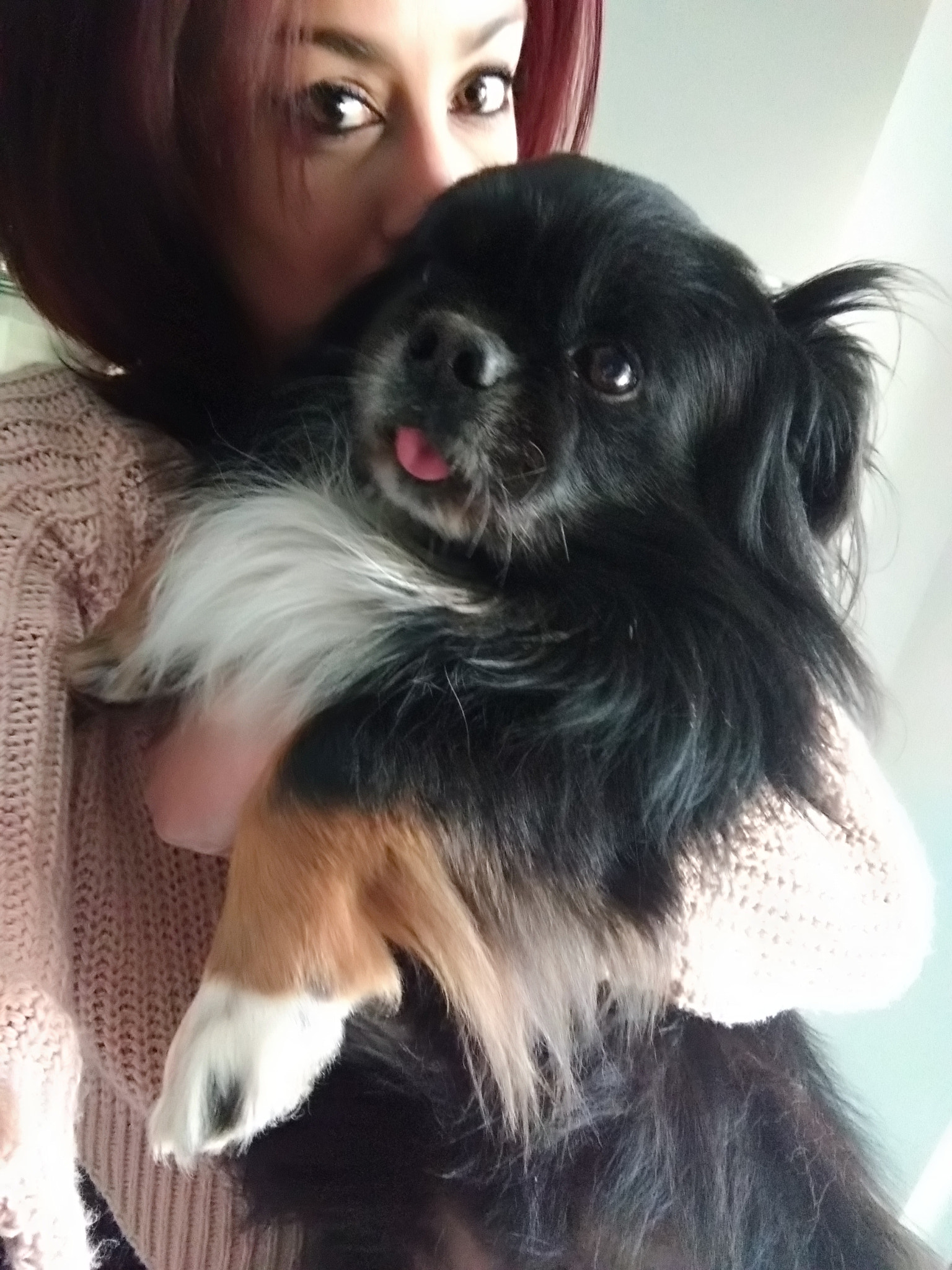 ASUS ZenFone 3 (ZE520KL) sample photo