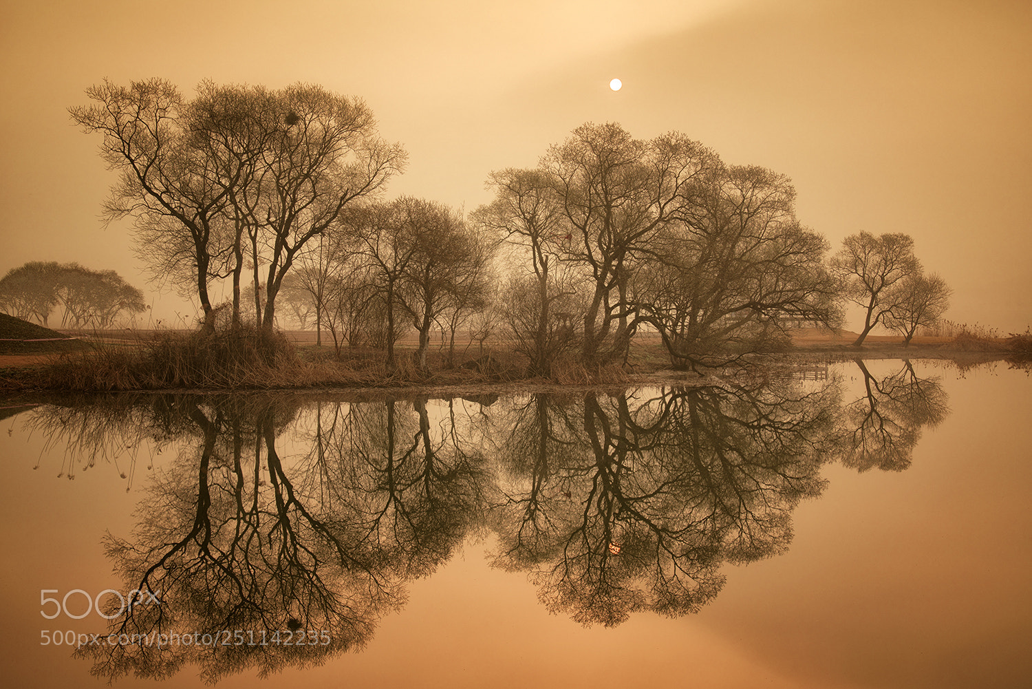 Sony a7R II sample photo. The reflection photography