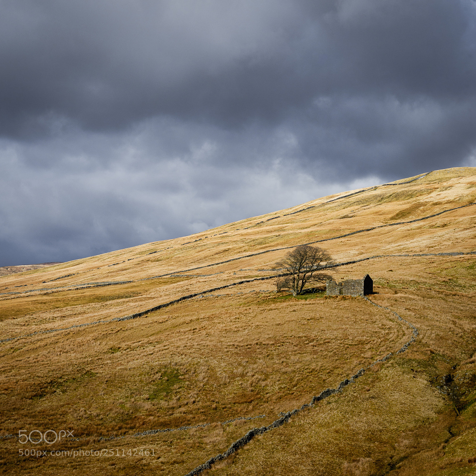 Nikon D610 sample photo. Ruined barn near dent photography