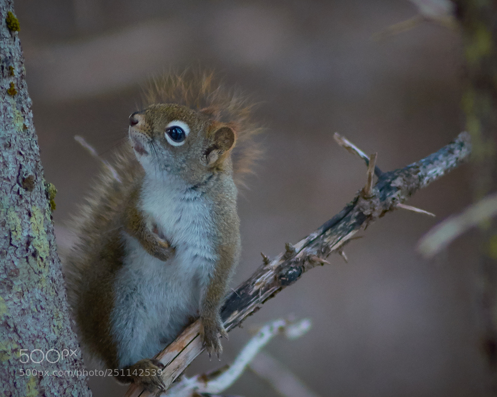 Nikon D7100 sample photo. Ian photography