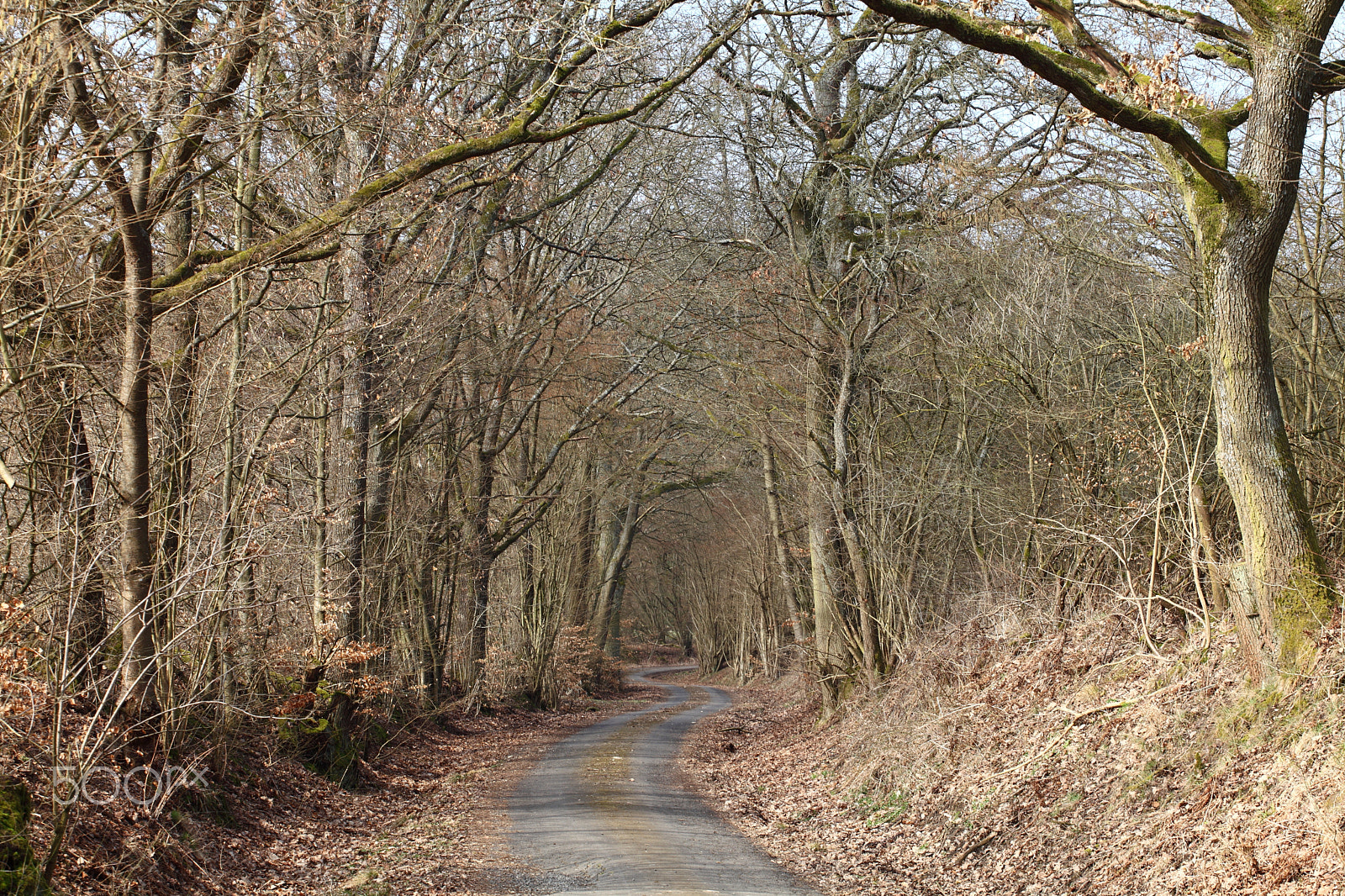 Canon EF 70-200mm F4L USM sample photo. Country road photography