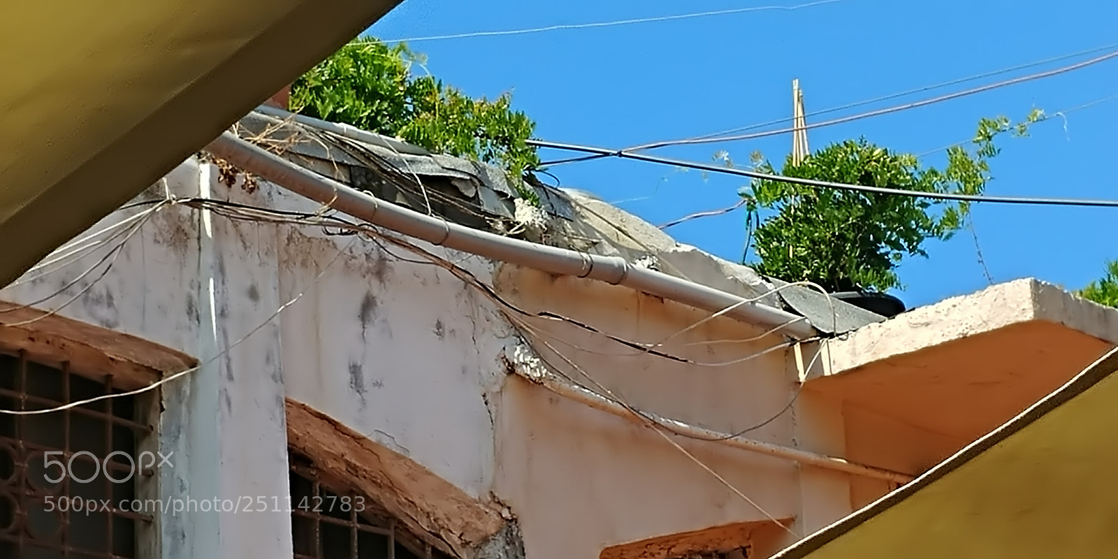LG G6 sample photo. Filtered photography