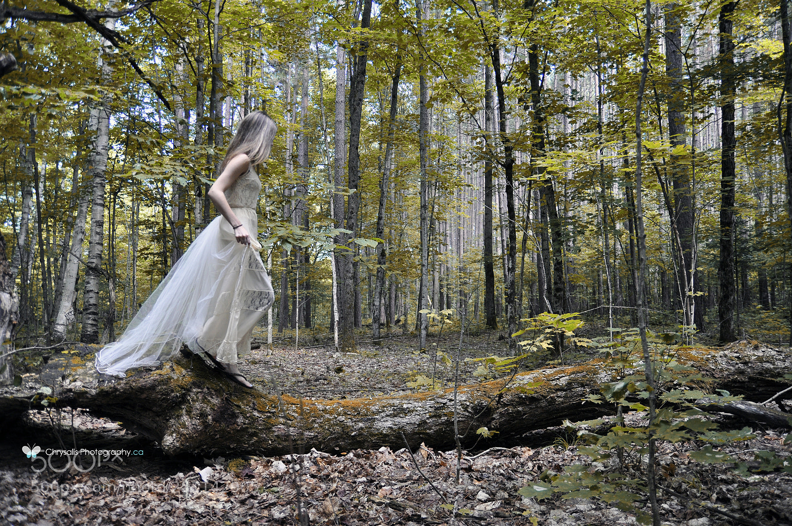 Nikon D90 sample photo. Untitled photography