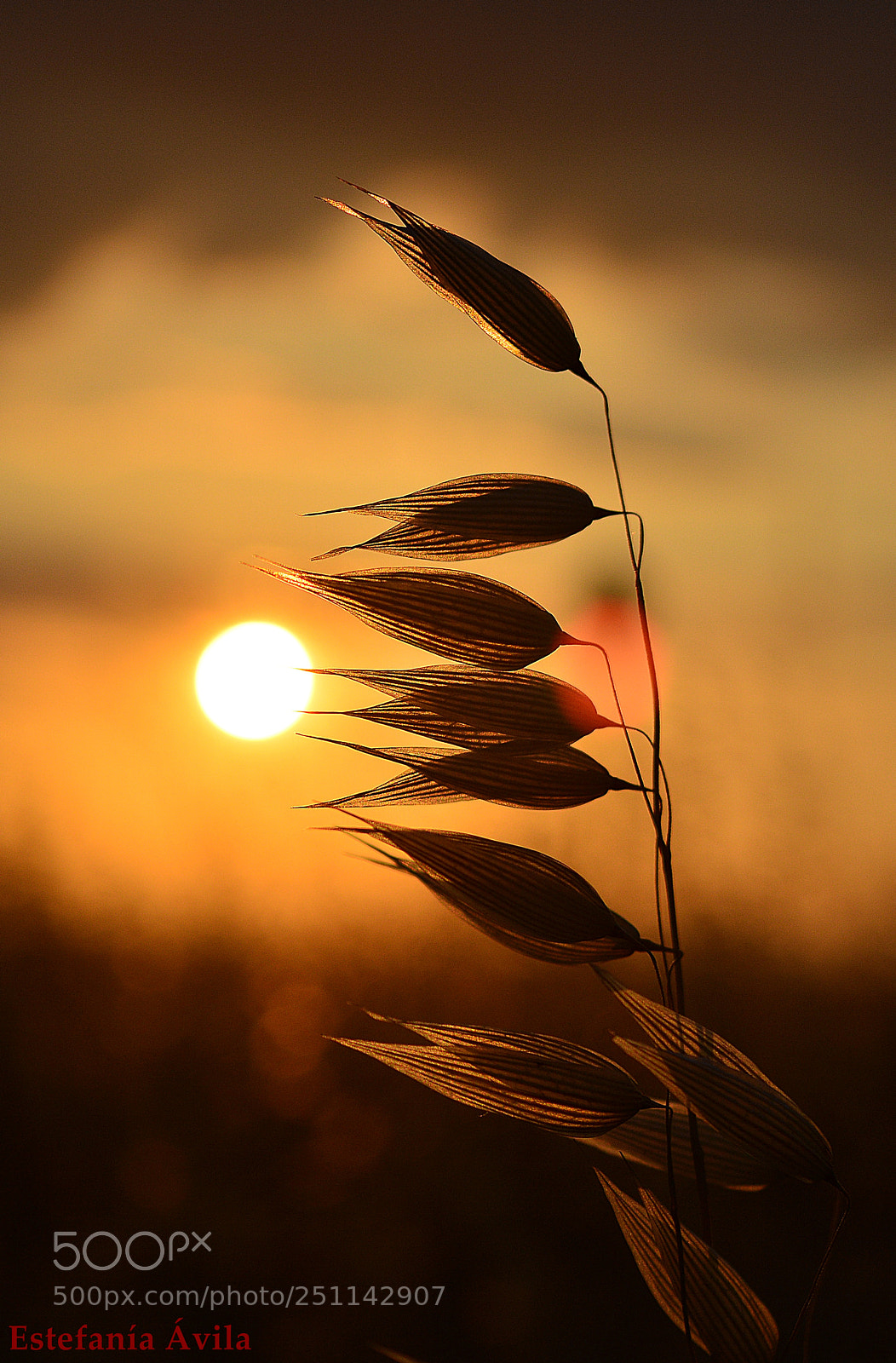 Nikon D5200 sample photo. Atardeceres que enamoran photography