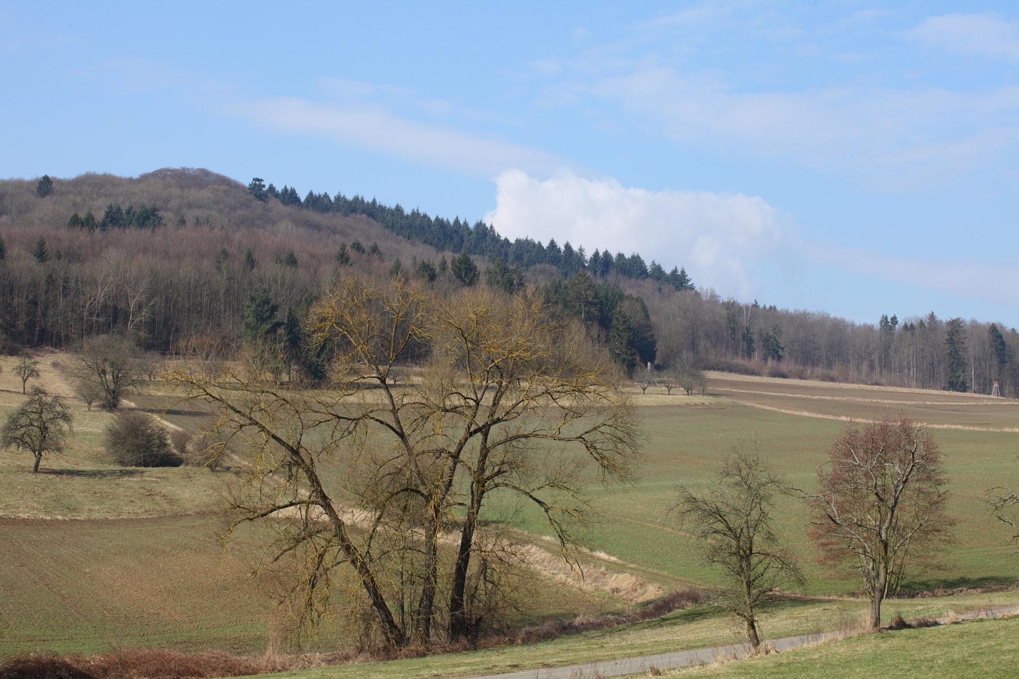Canon EF 70-200mm F4L USM sample photo. Countryside photography