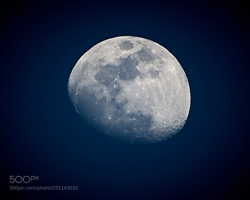Nikon D7100 sample photo. Ian photography