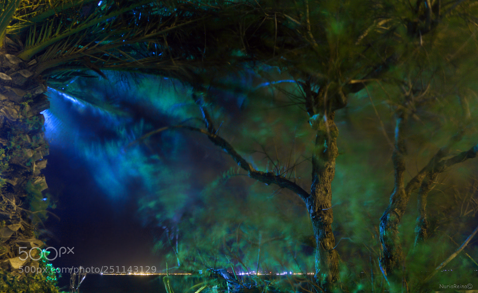 Canon EOS 70D sample photo. Night gale photography