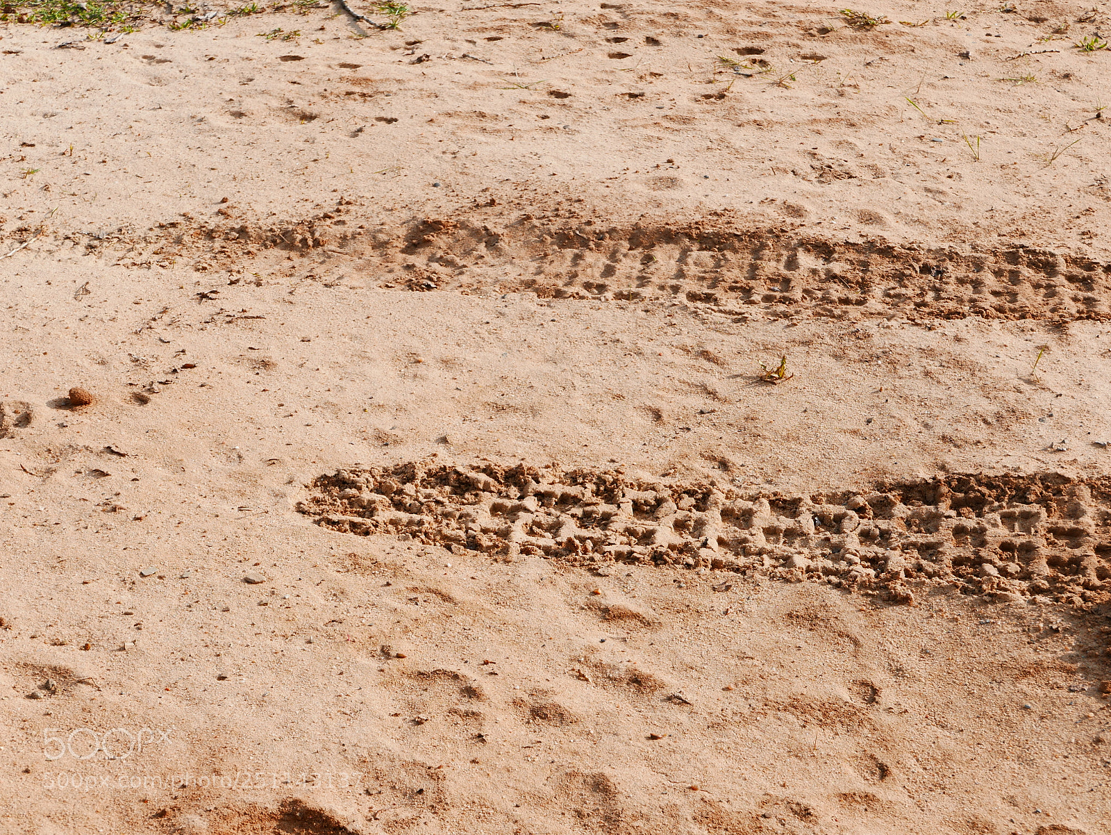 Leica D-Lux (Typ 109) sample photo. Tire tracks in the photography