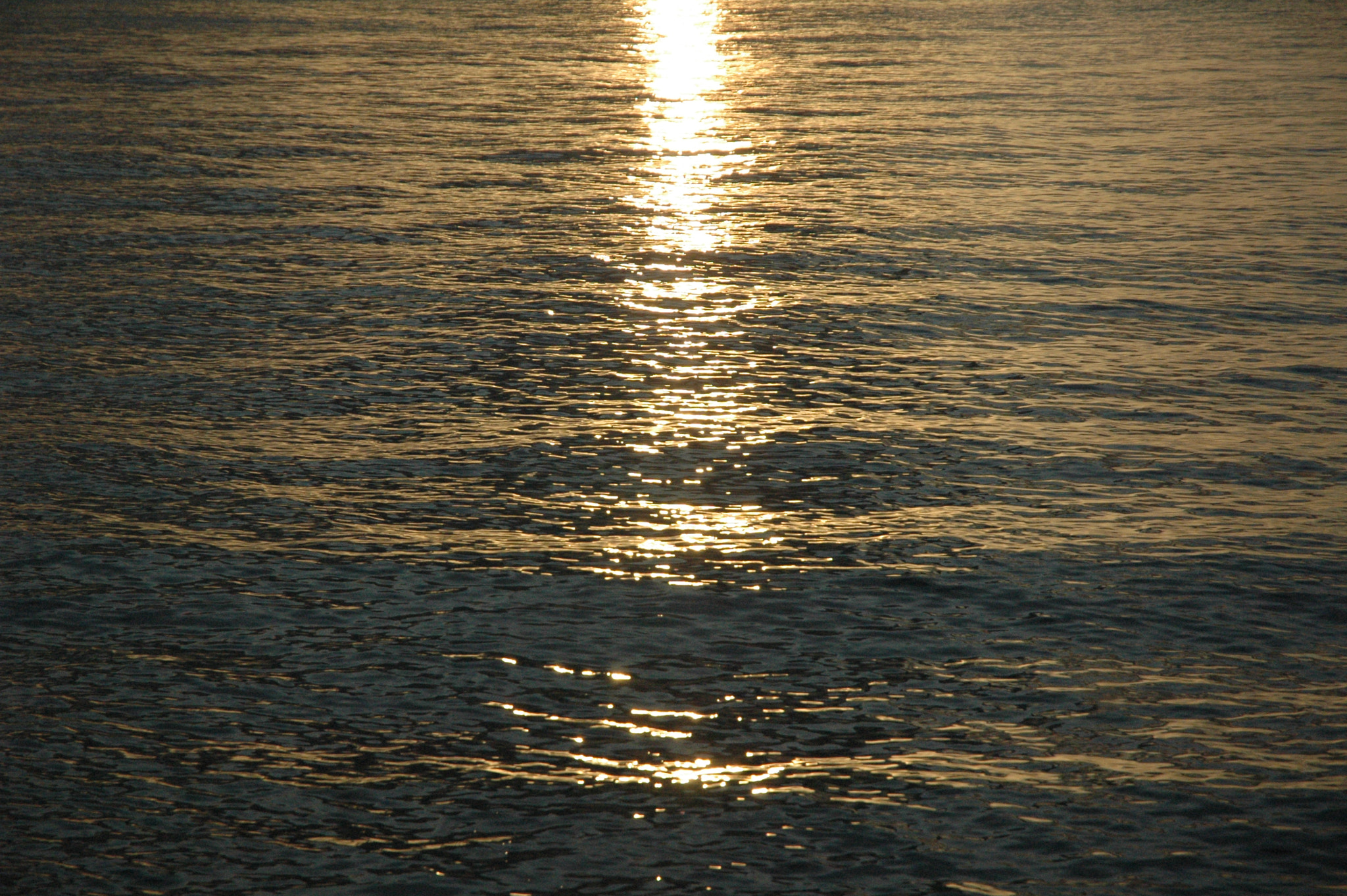 Nikon D70 sample photo. Ripple wave photography