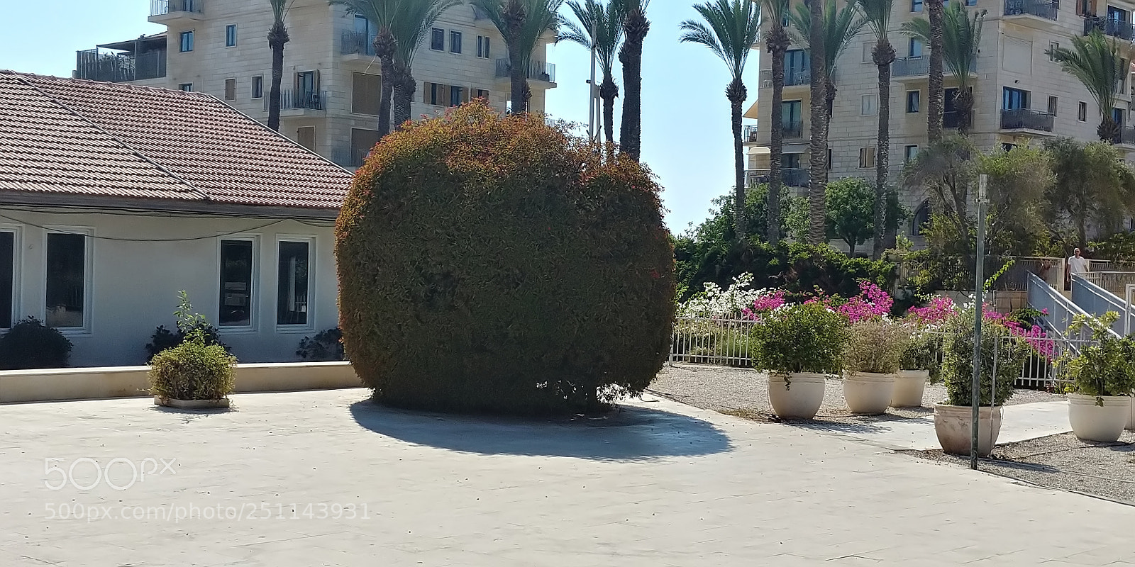 LG G6 sample photo. Hdr filtered photography
