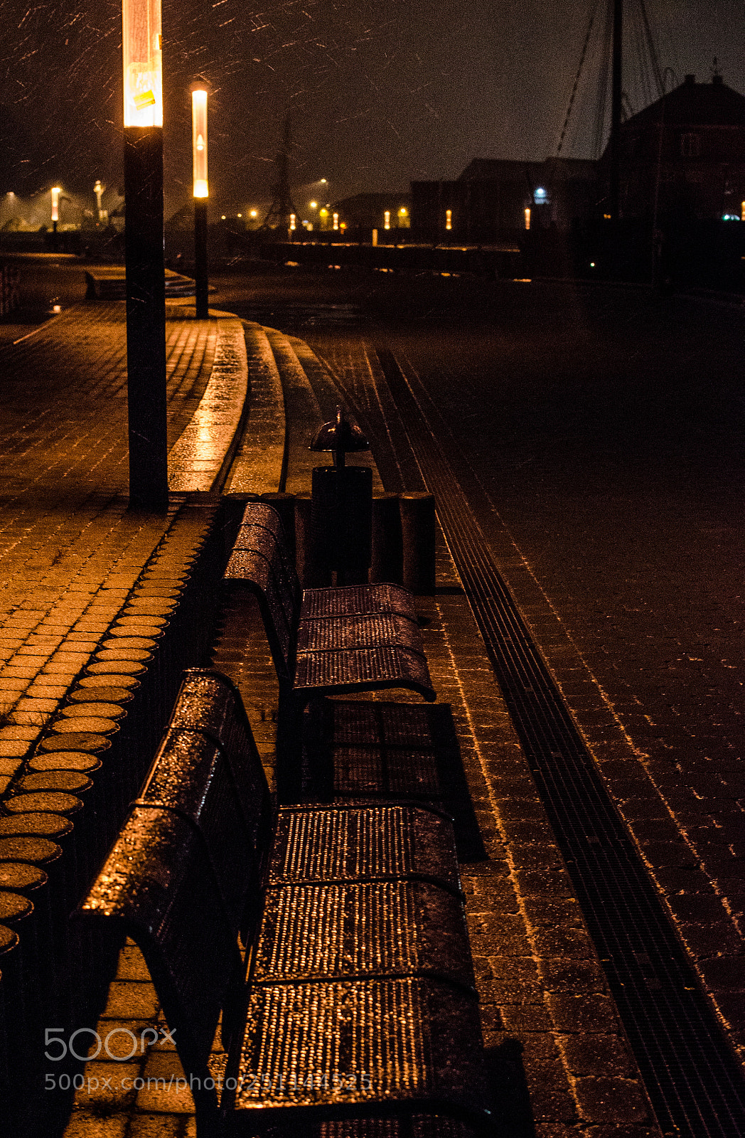 Nikon D7000 sample photo. Wet morning photography