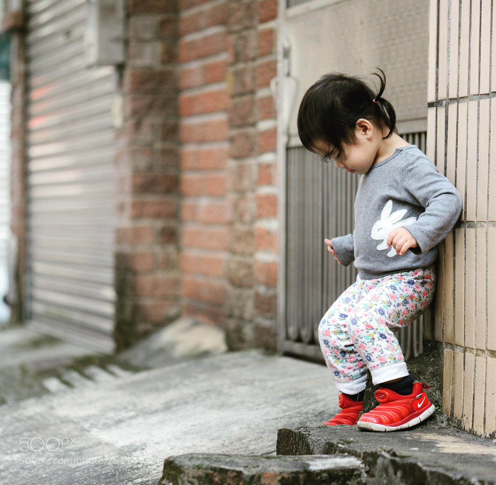 Nikon D800 sample photo. Untitled photography