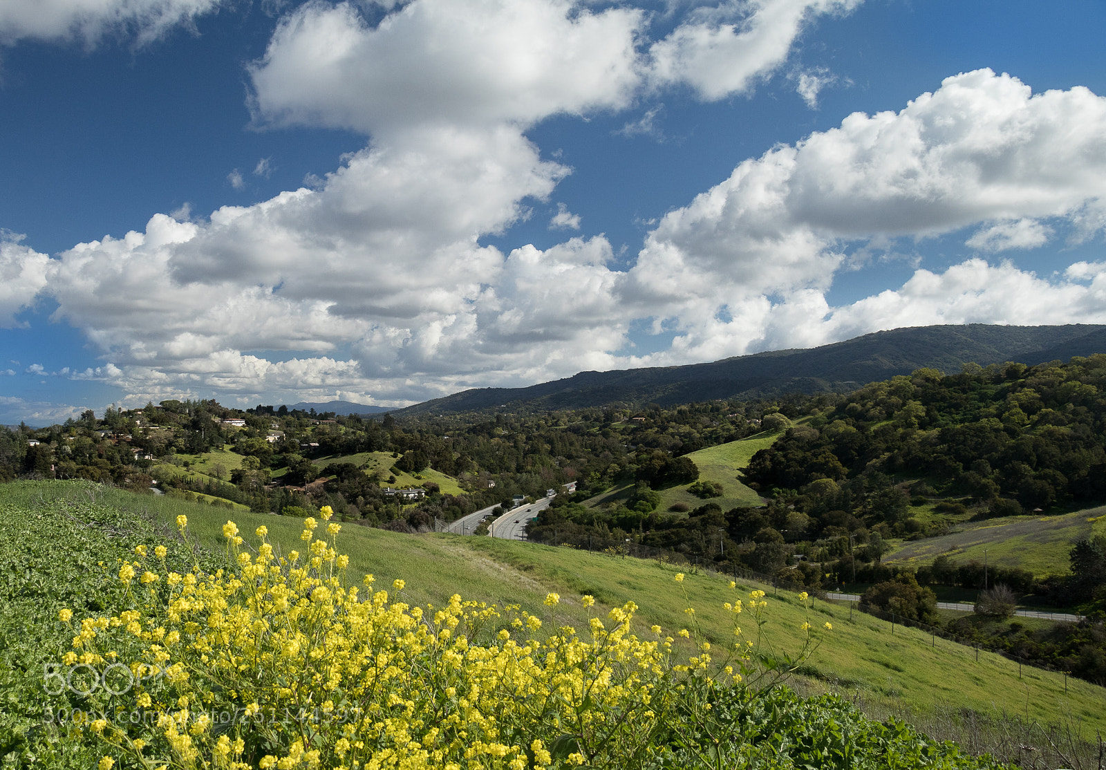 Canon EOS 80D sample photo. Californian spring photography