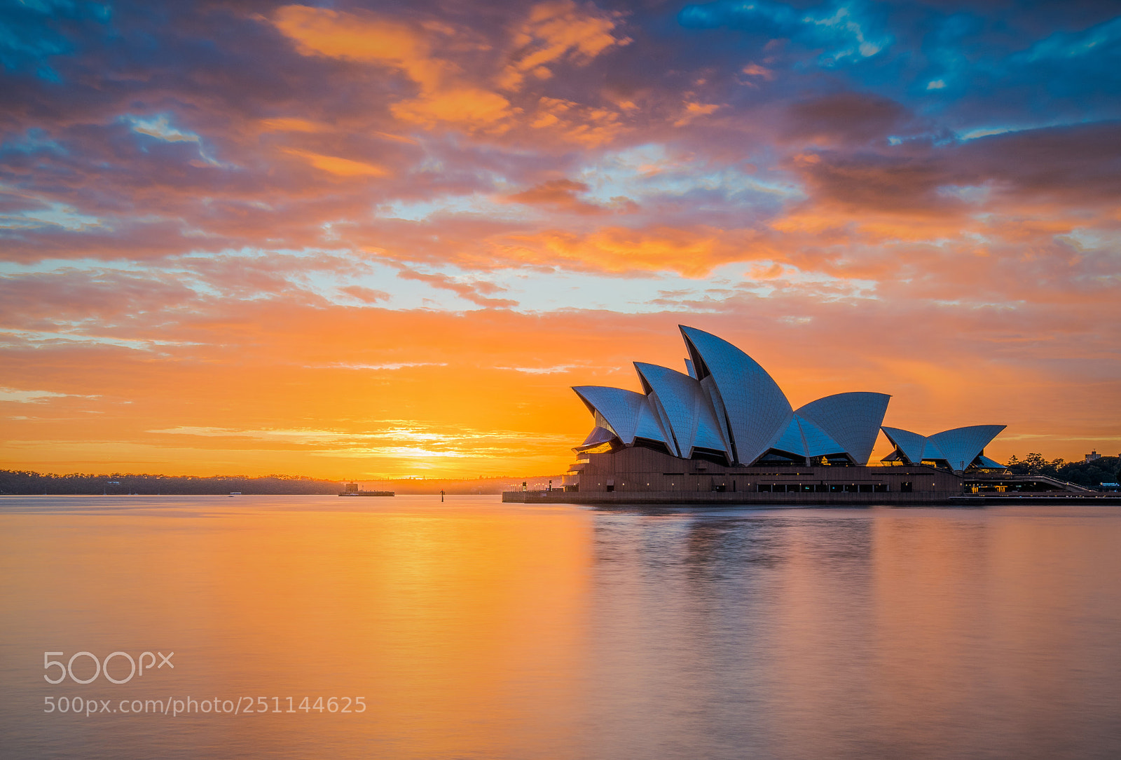 Nikon D810 sample photo. Sydney harbour #6 photography