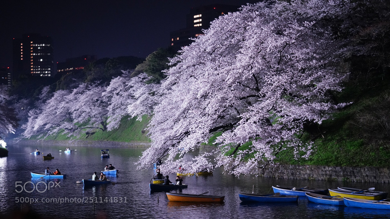 Sony a7R III sample photo. Untitled photography