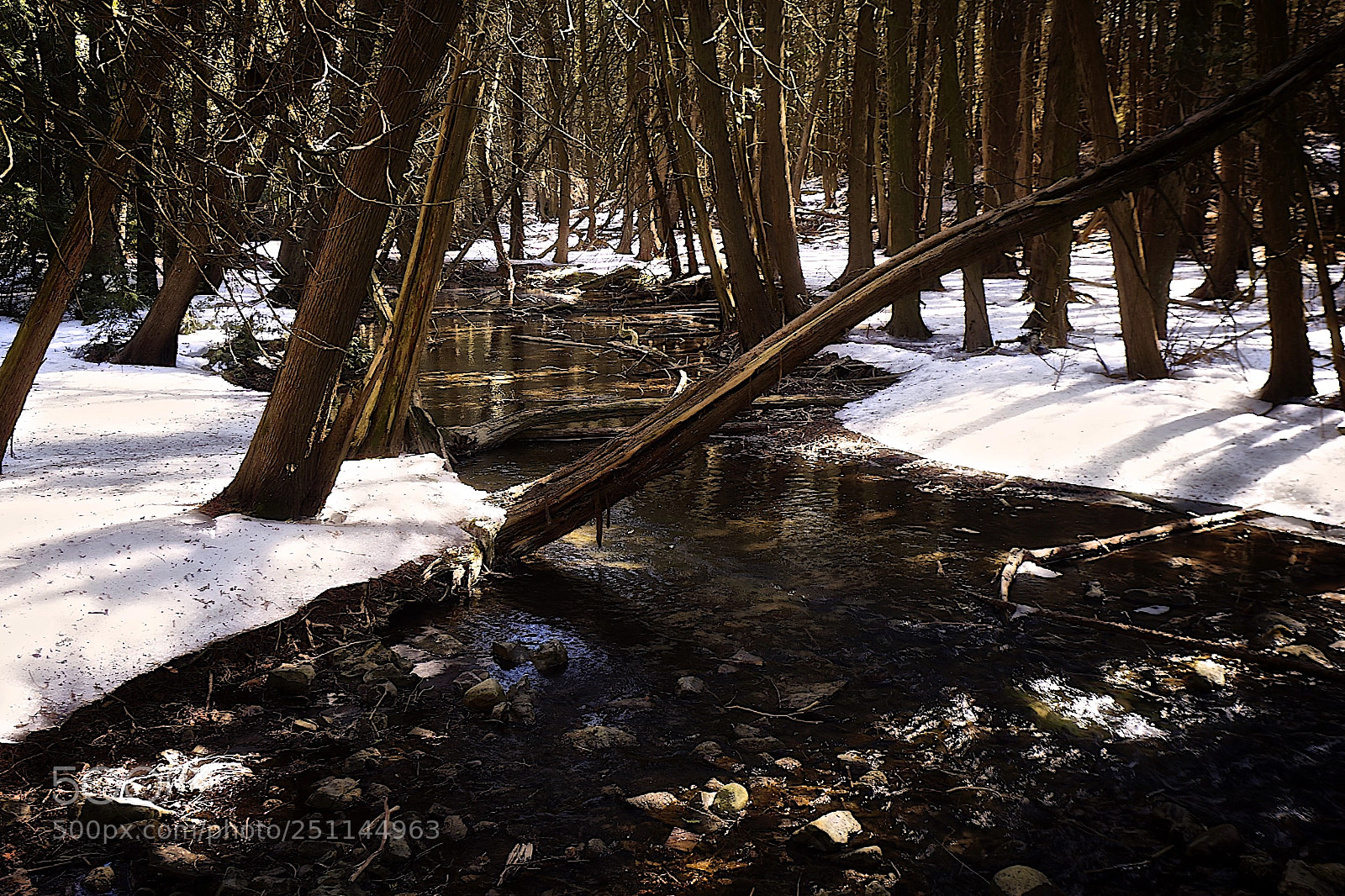 Pentax K-1 sample photo. Spring melt photography