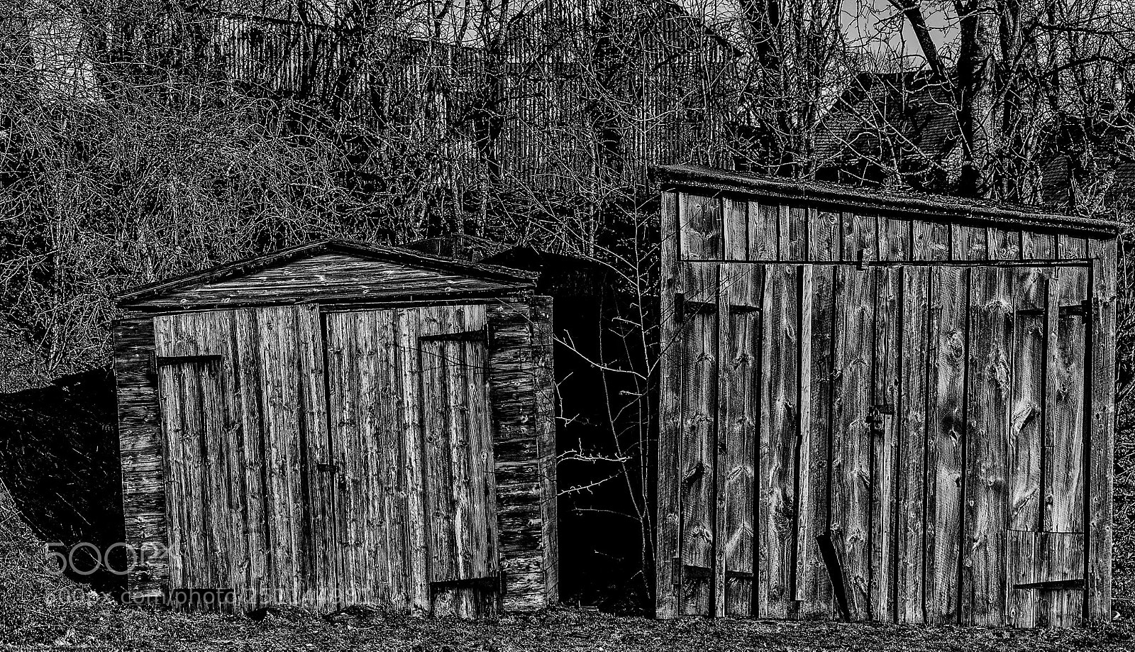 Nikon D90 sample photo. Sheds photography