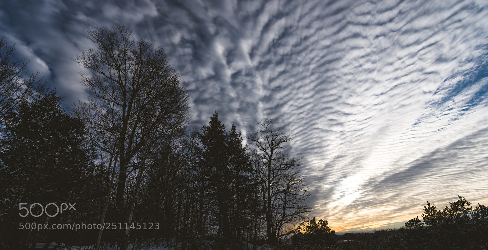 Nikon D7200 sample photo. Winter sky photography