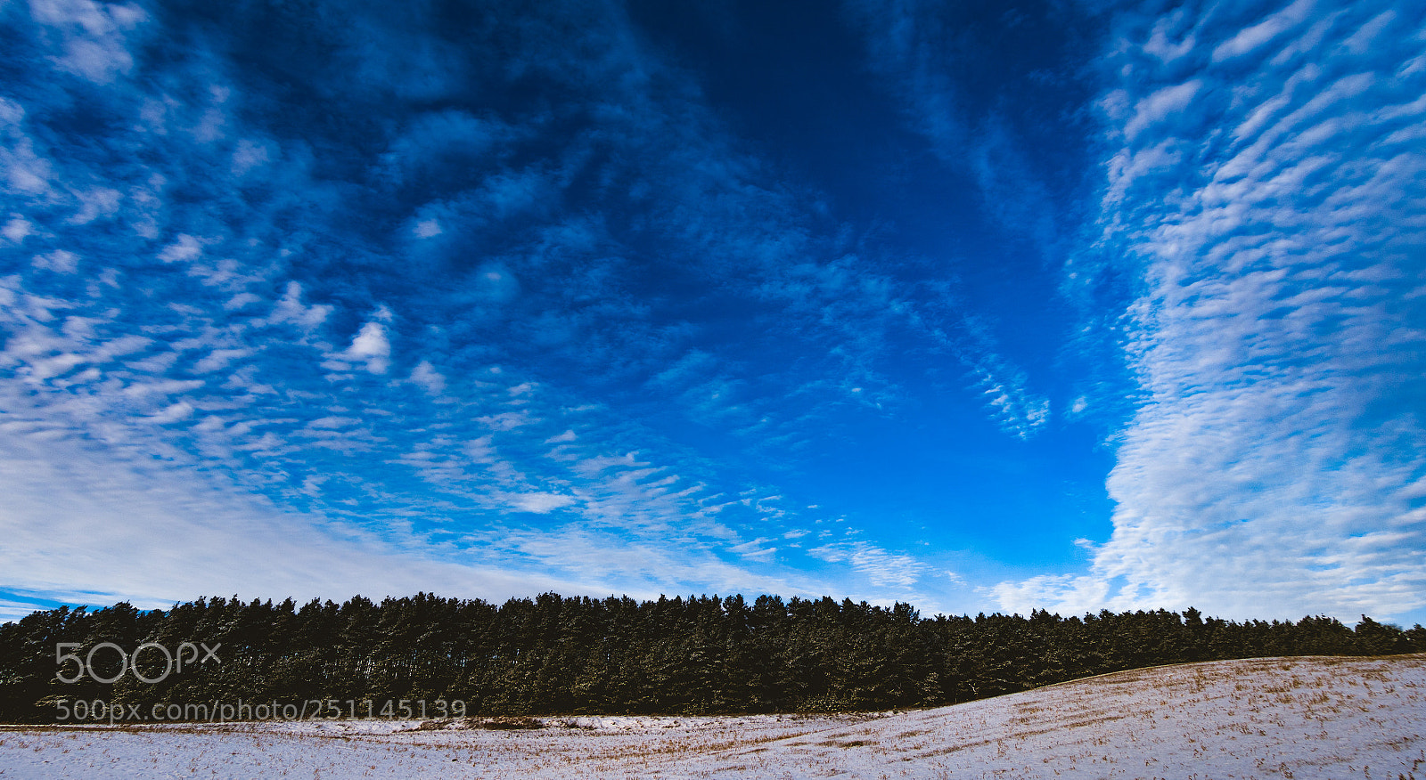 Nikon D7200 sample photo. Pine & sky landscape photography