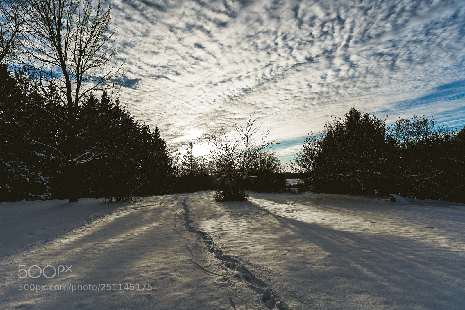 Nikon D7200 sample photo. Winter wonderland photography