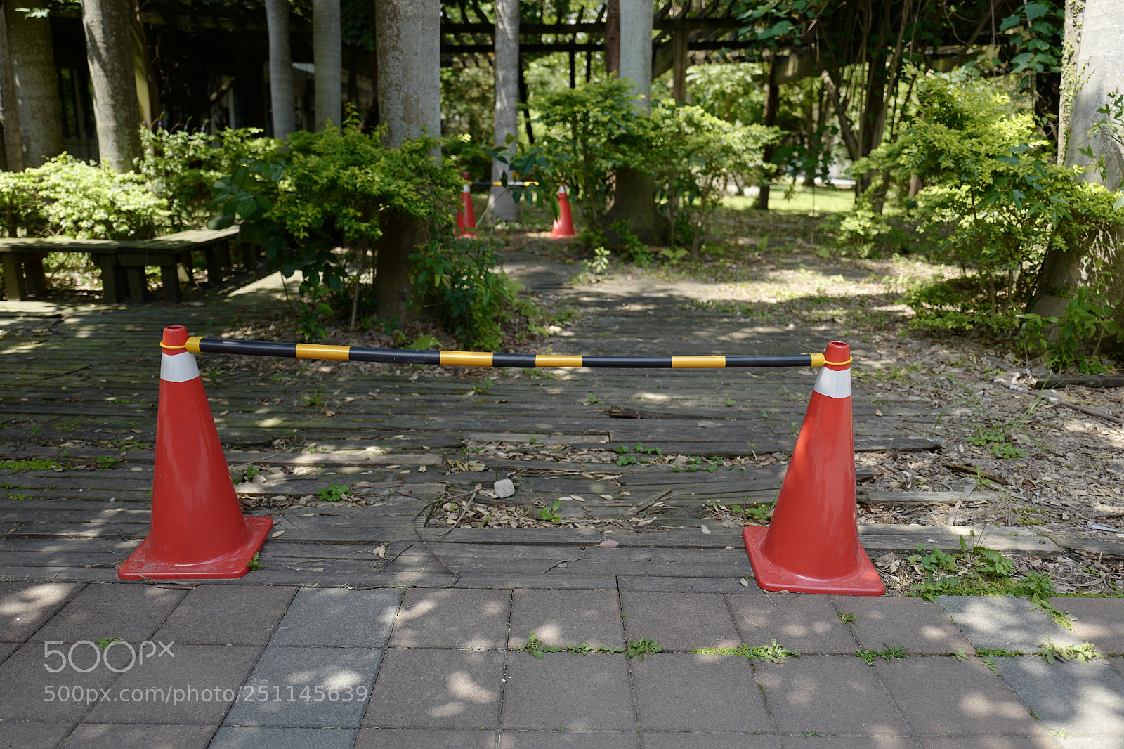 Leica Q (Typ 116) sample photo. 無主題 photography