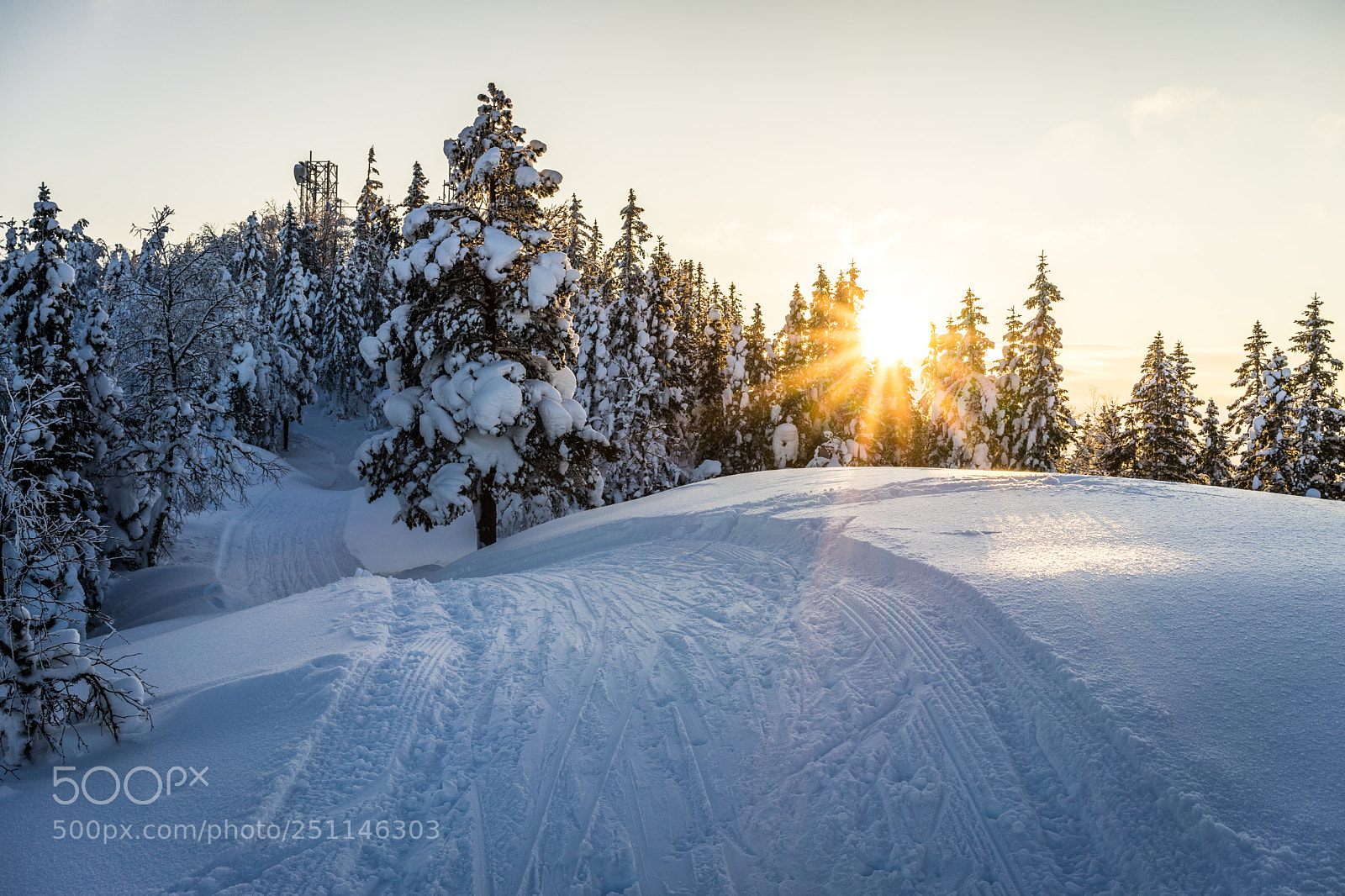 Sony a7 sample photo. Uphill photography