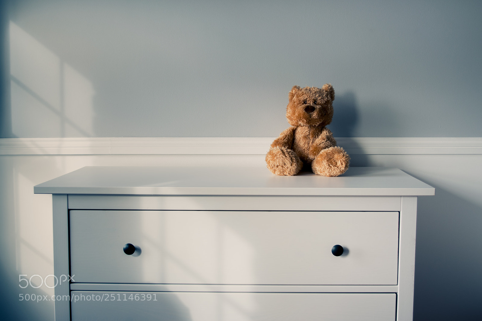 Nikon D5500 sample photo. Ted. photography