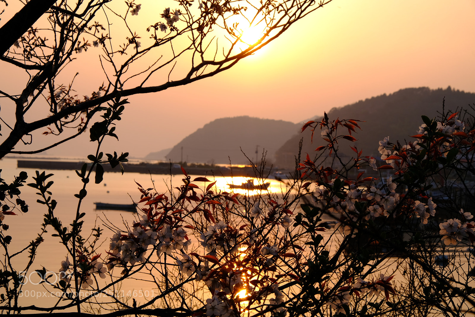 Fujifilm X-T20 sample photo. Sunset spring photography