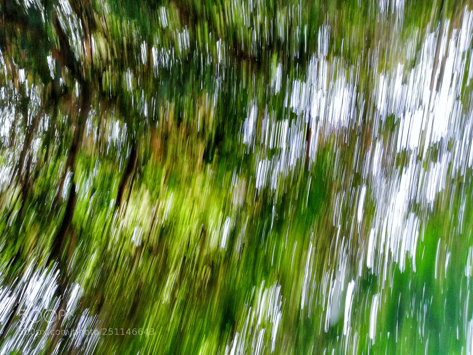 HUAWEI nova 2i sample photo. Green bluer photography