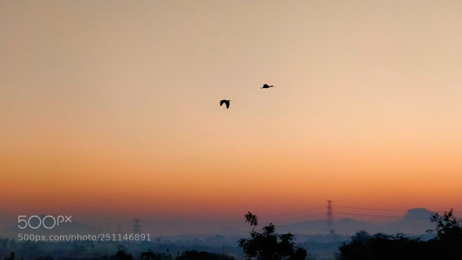 OnePlus 5 sample photo. Untitled photography