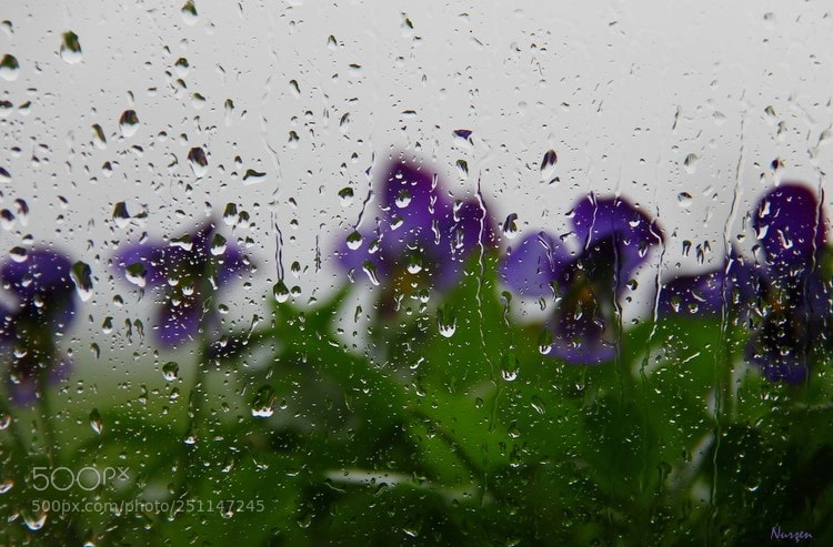 Canon EF-S 18-200mm F3.5-5.6 IS sample photo. Rain photography