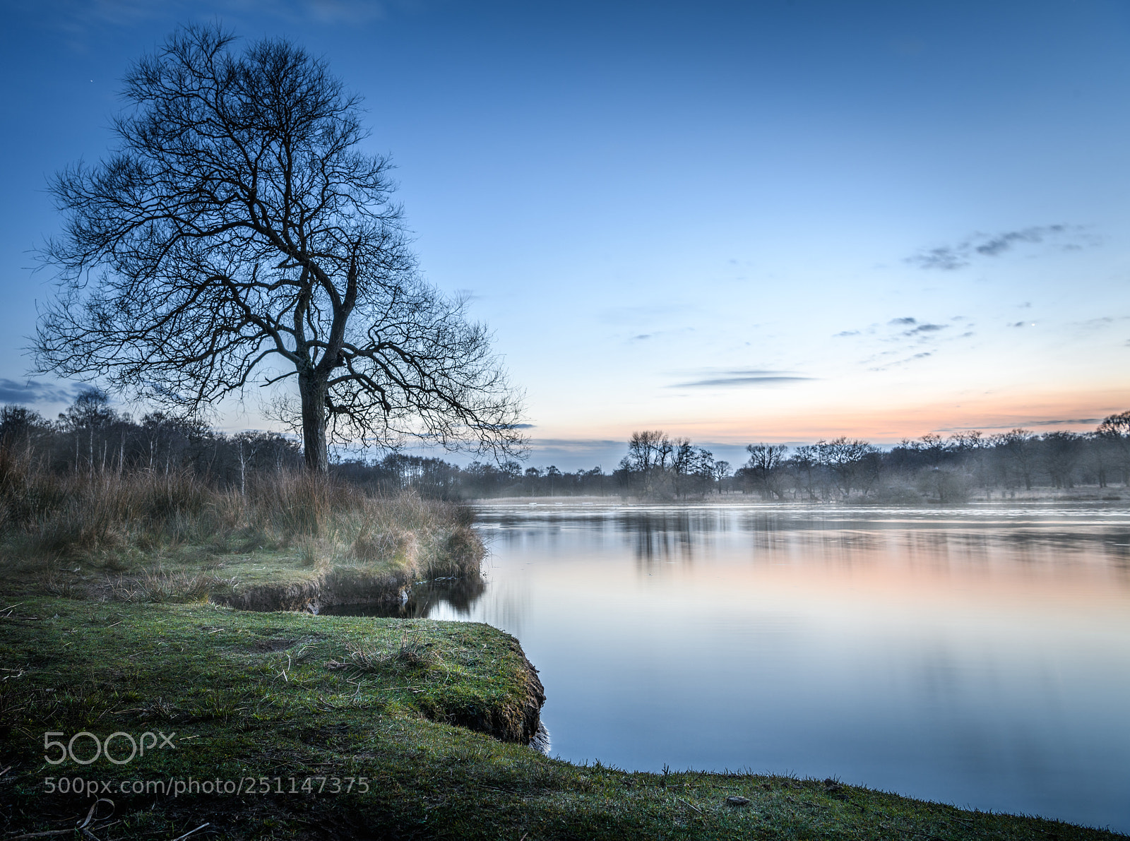 Nikon D850 sample photo. Blue hour in richmond photography