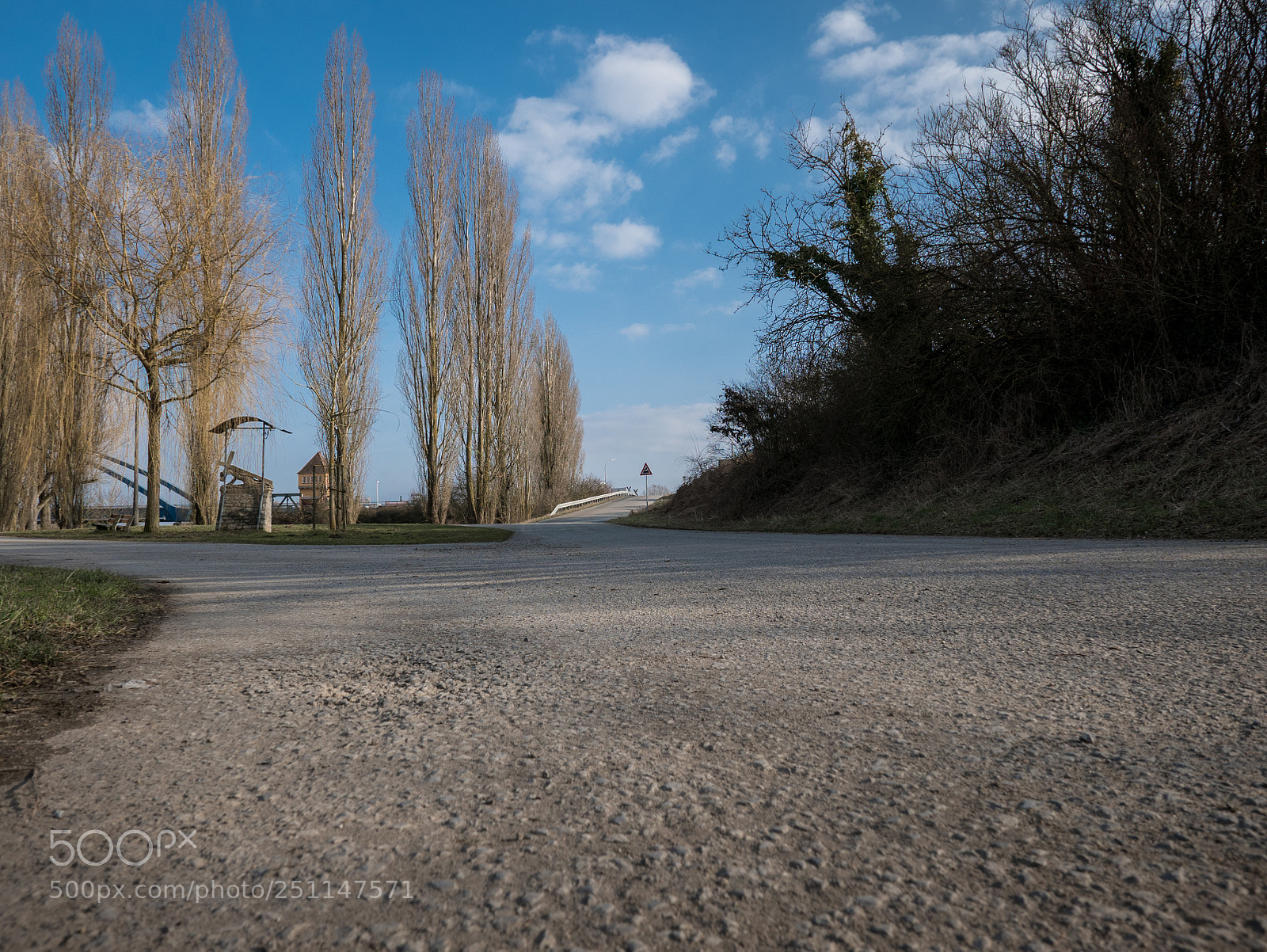 Leica D-Lux (Typ 109) sample photo. Low angle view to photography